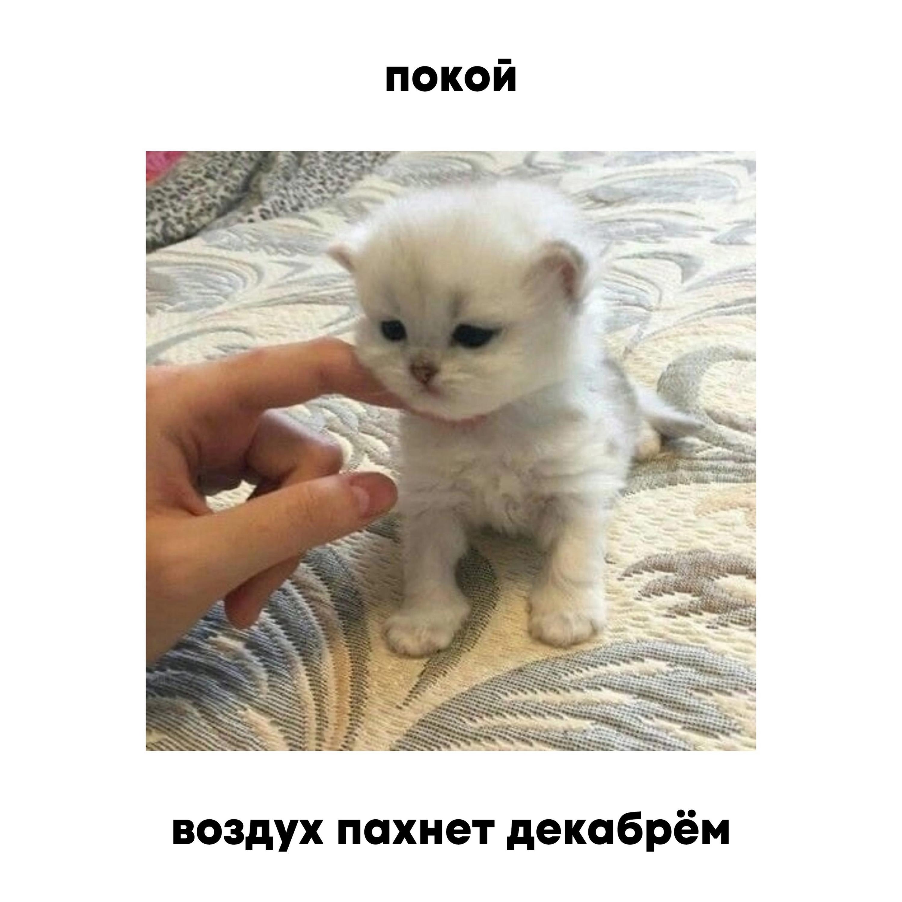 Релиз Воздух пахнет декабрём