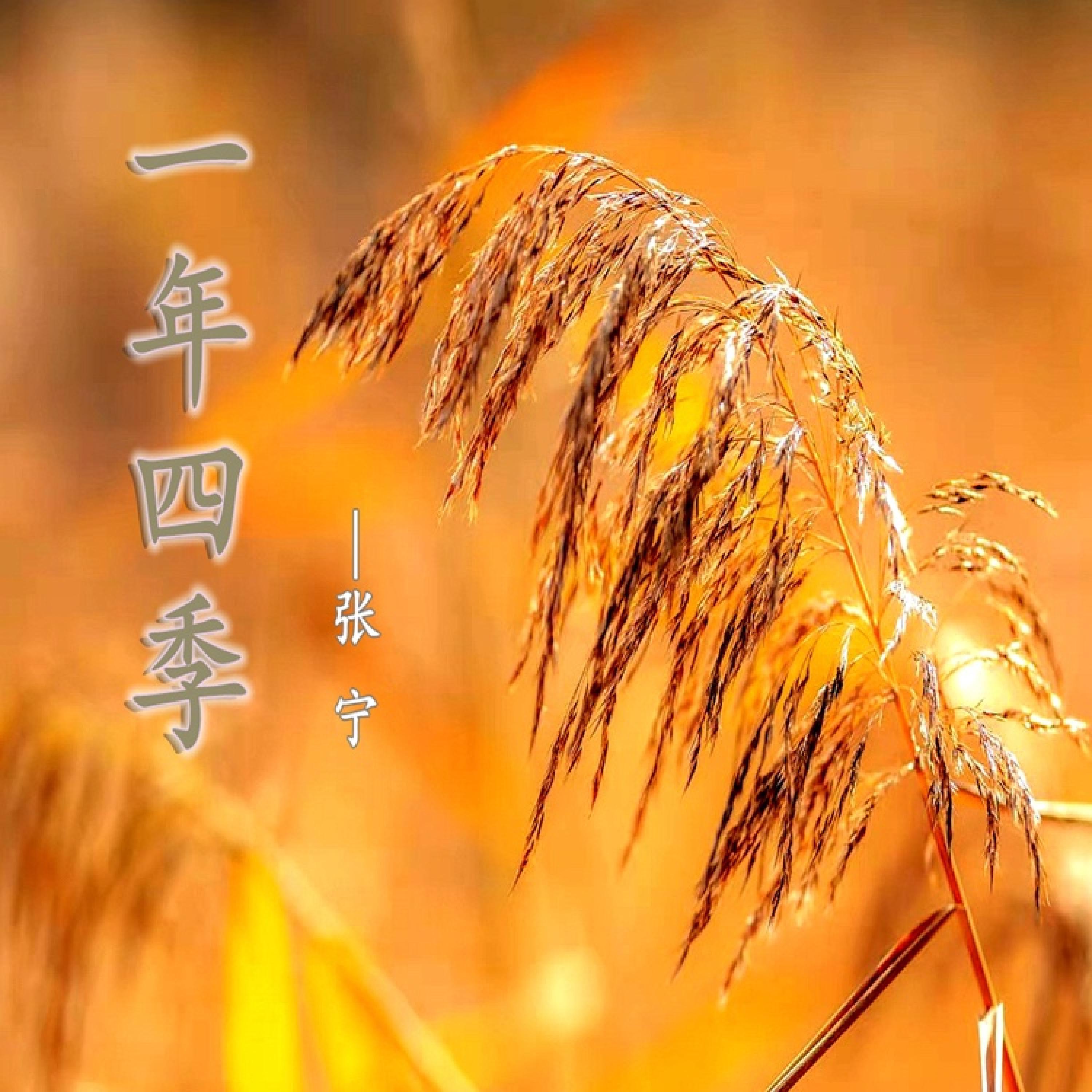 Релиз 一年四季