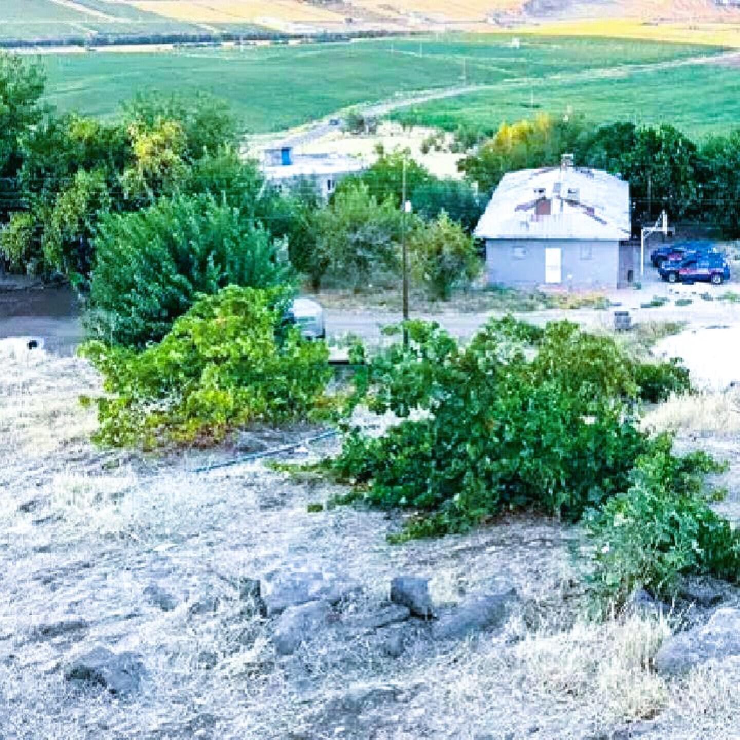 Önder Bali