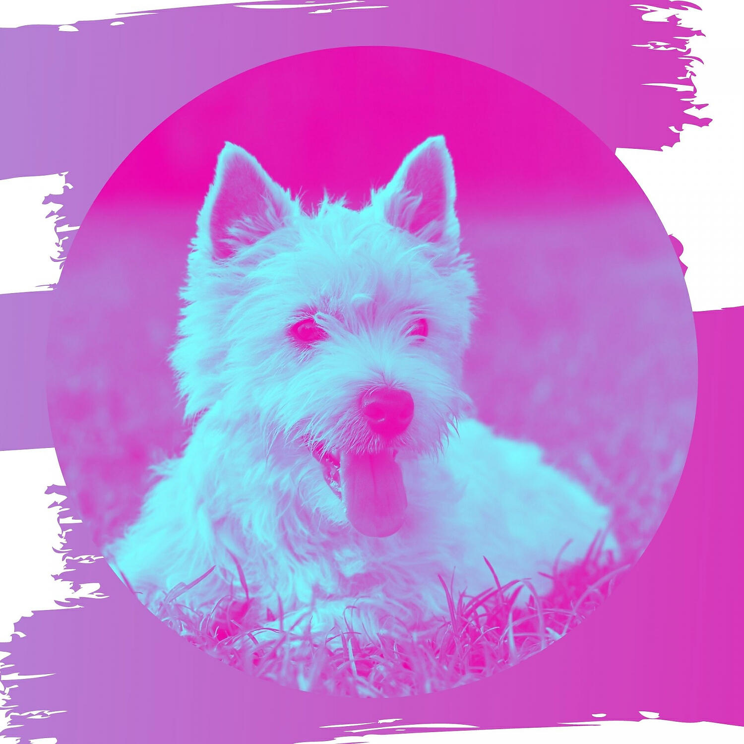Релиз Bossa Saxophone - Background for Calming Puppies
