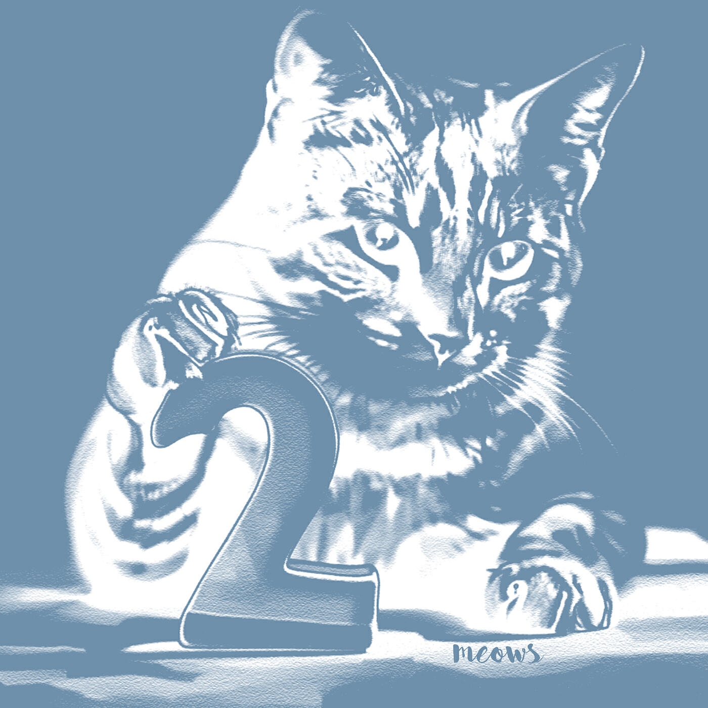 Релиз 2 Meows