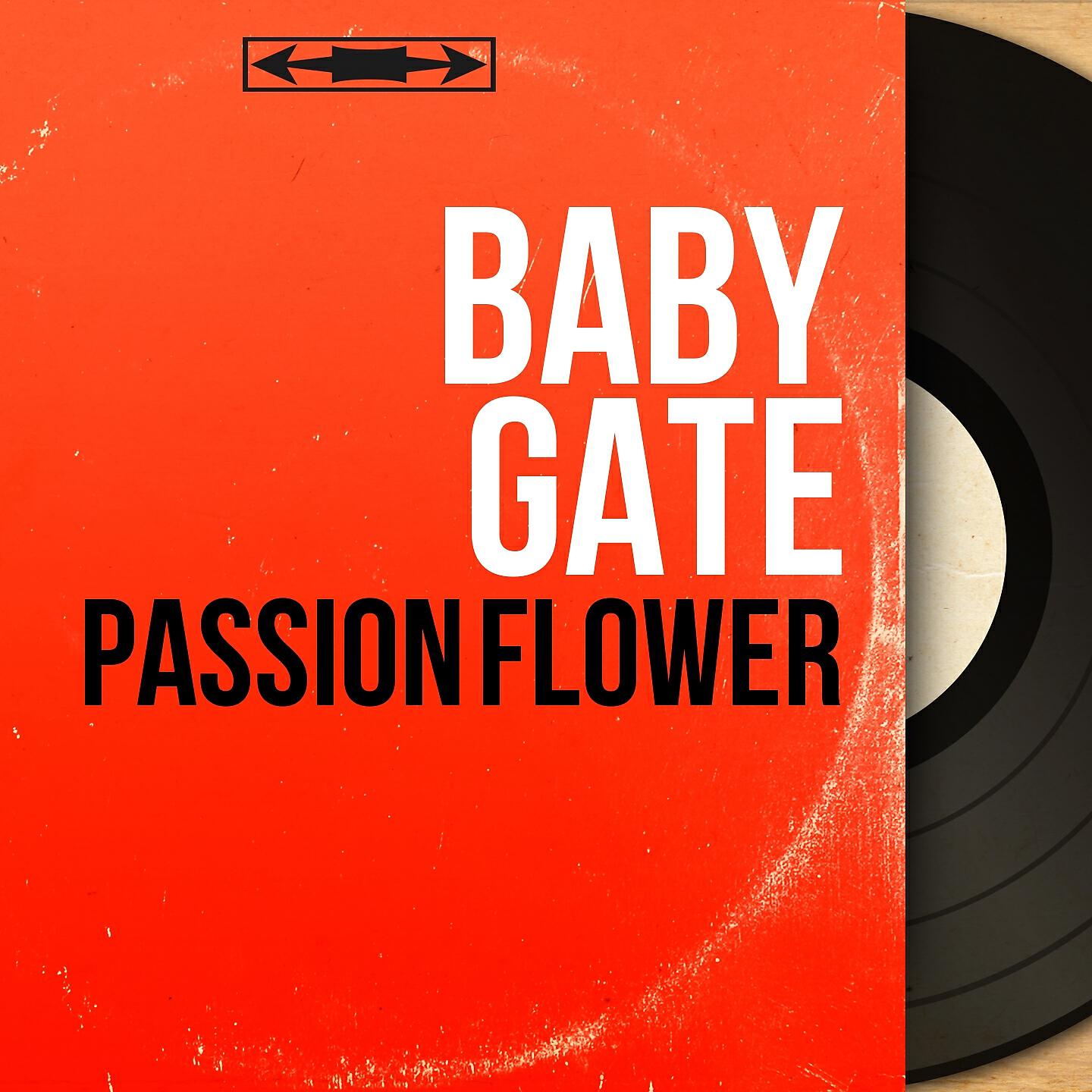 Baby Gate