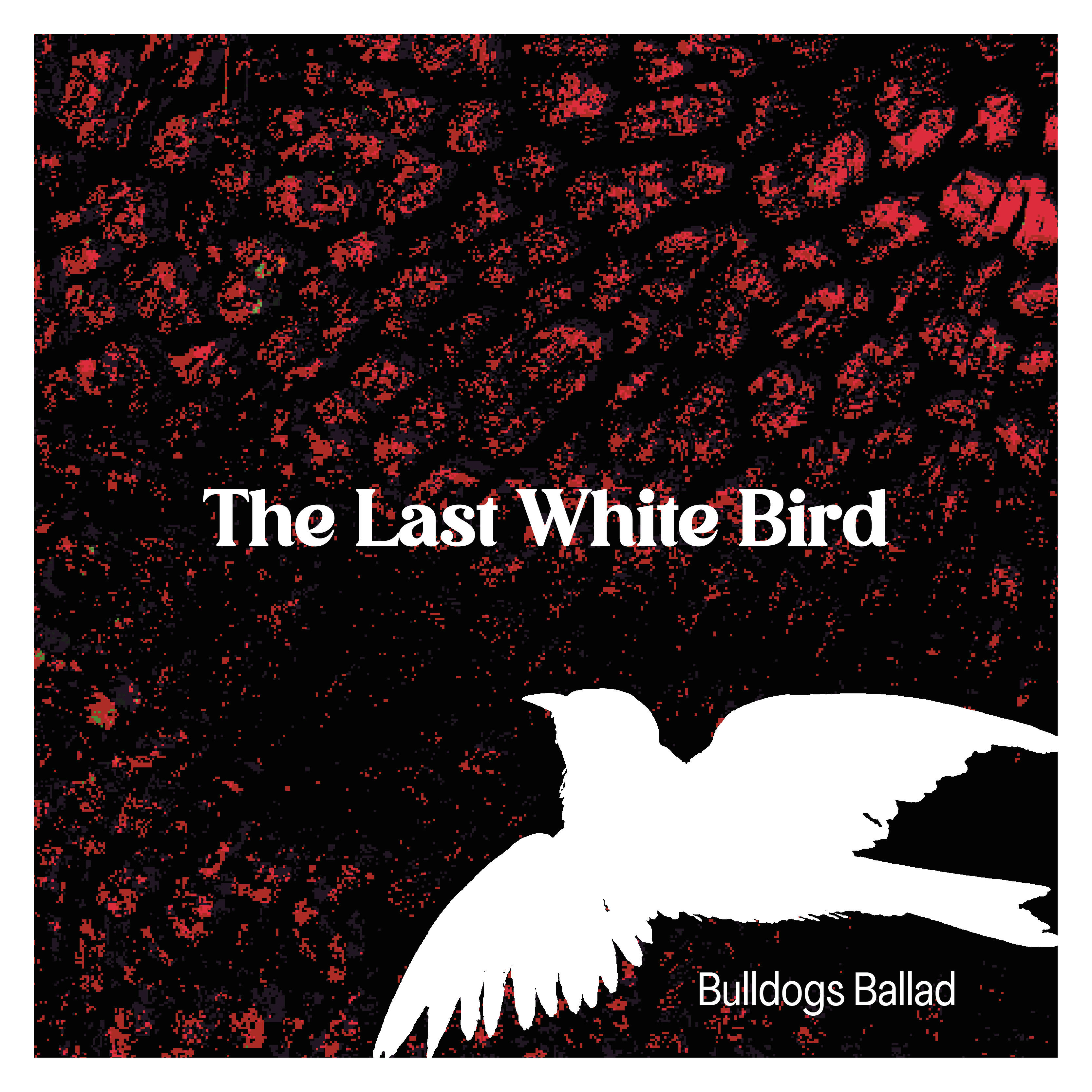 Релиз The Last White Bird