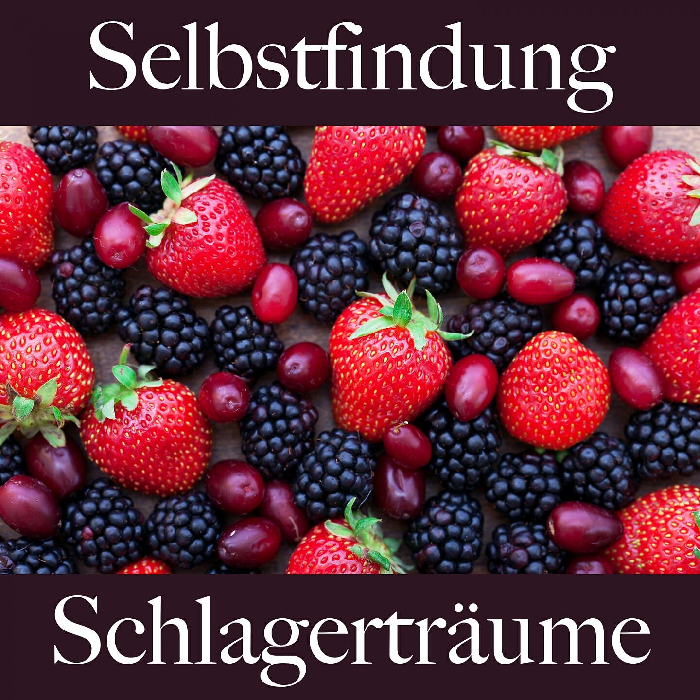 Релиз Selbstfindung: Schlagerträume - Die Beste Musik