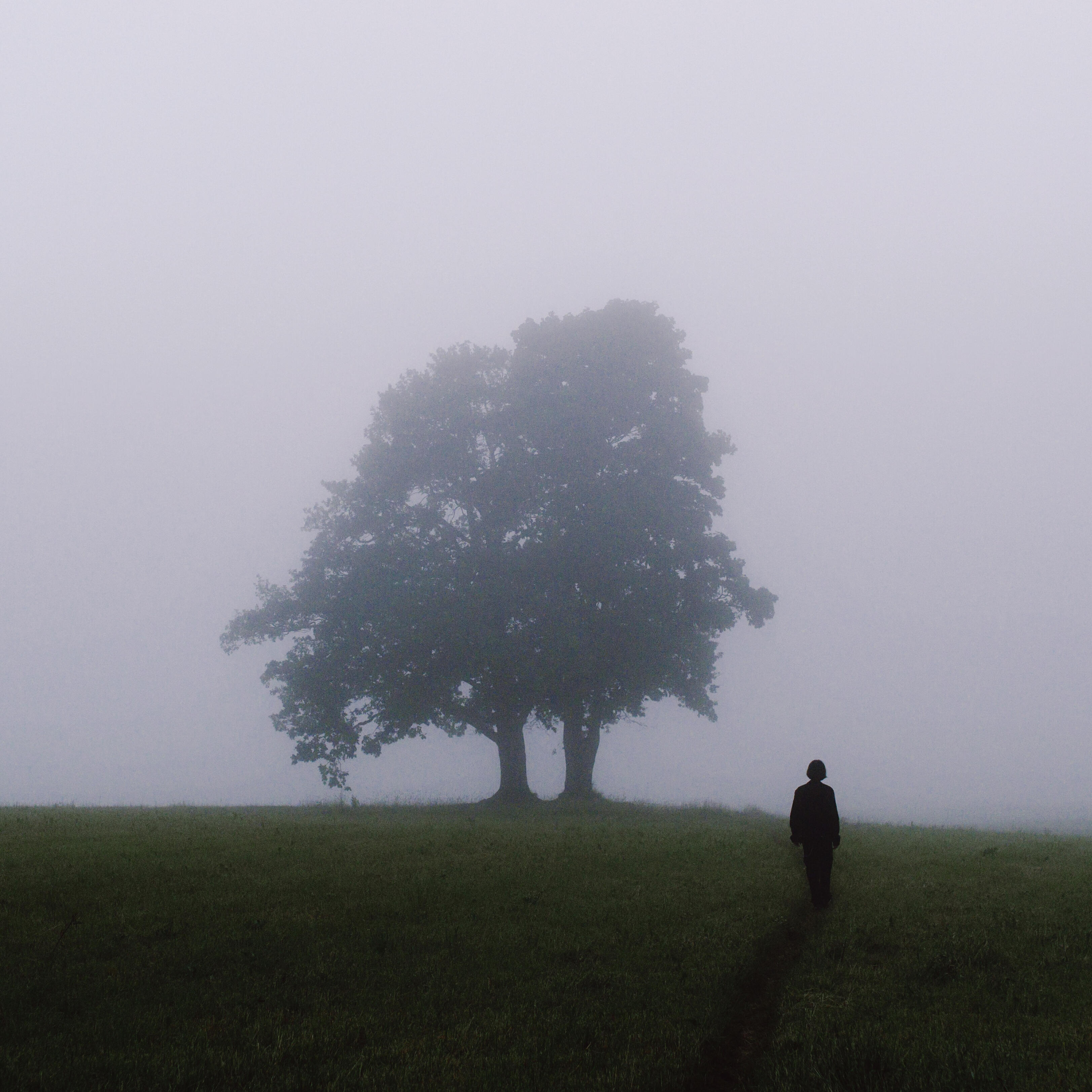 Релиз Деструктивные состояния