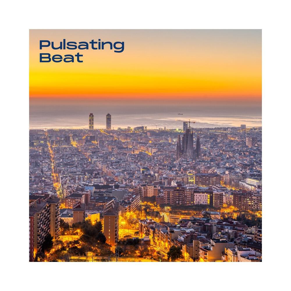 Релиз Pulsating Beat: Chillout Mix