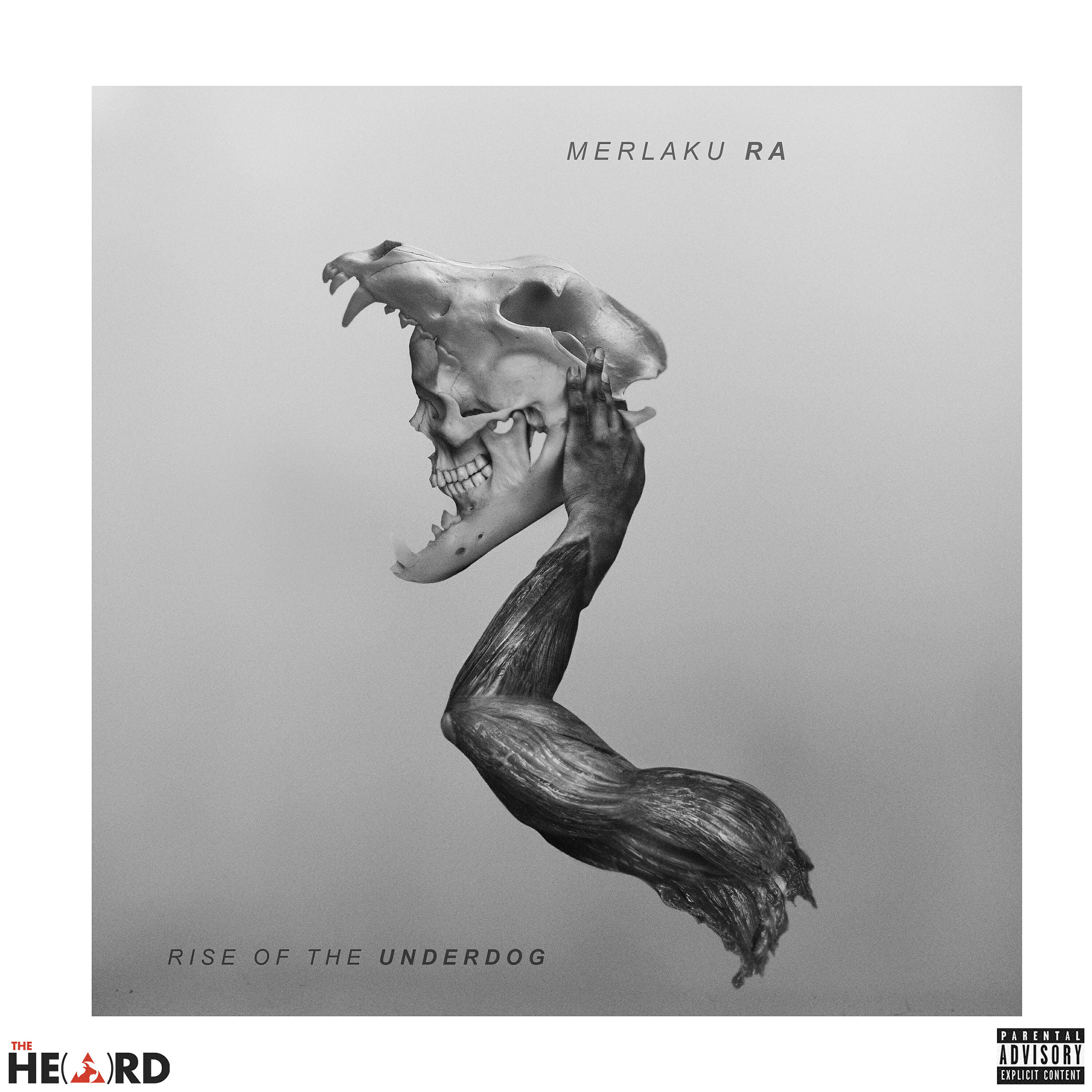 Релиз Rise of the Underdog