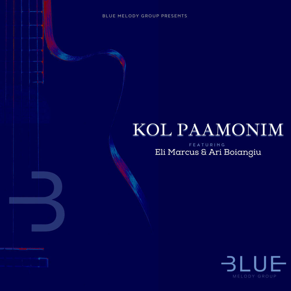 Blue Melody Group