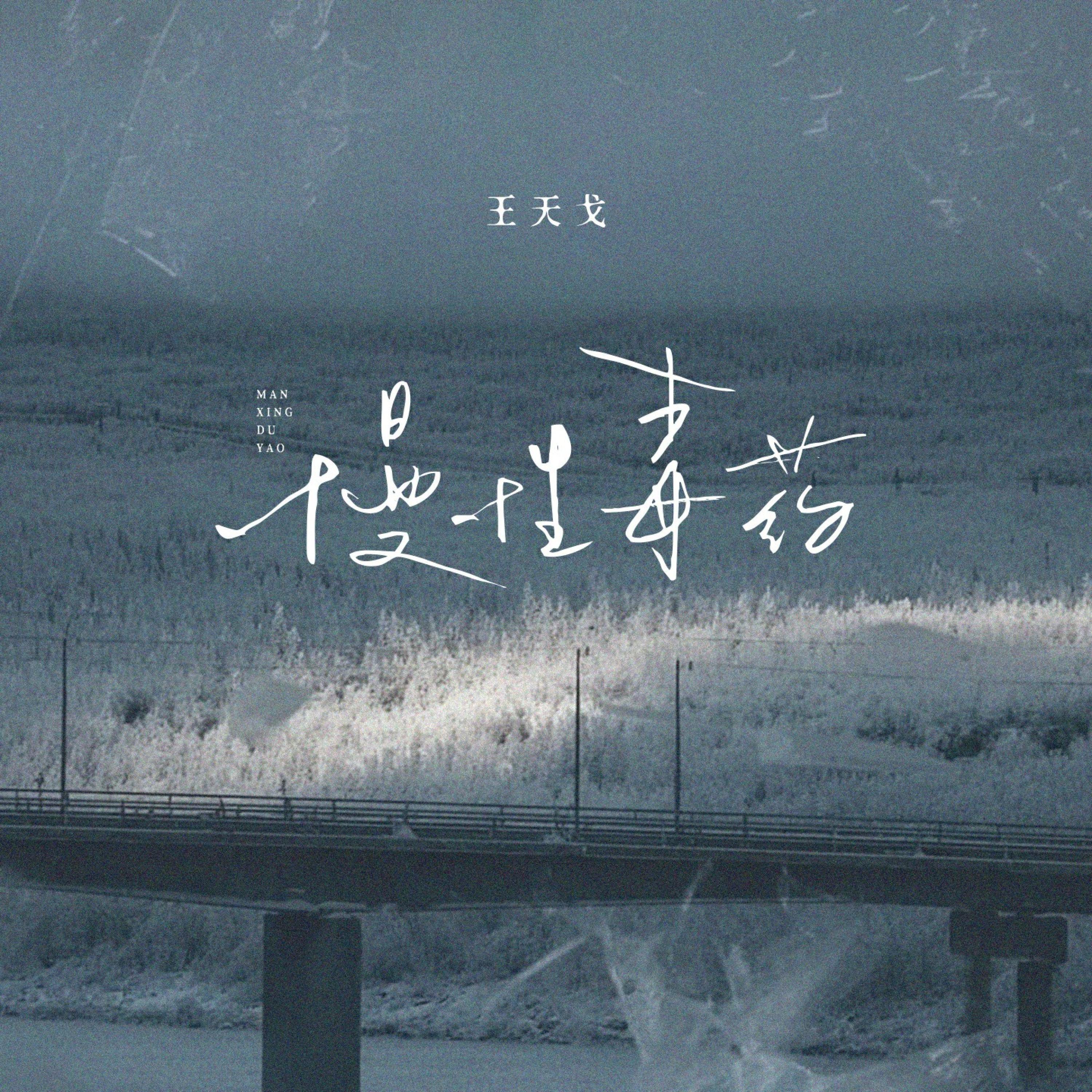 Релиз 慢性毒药