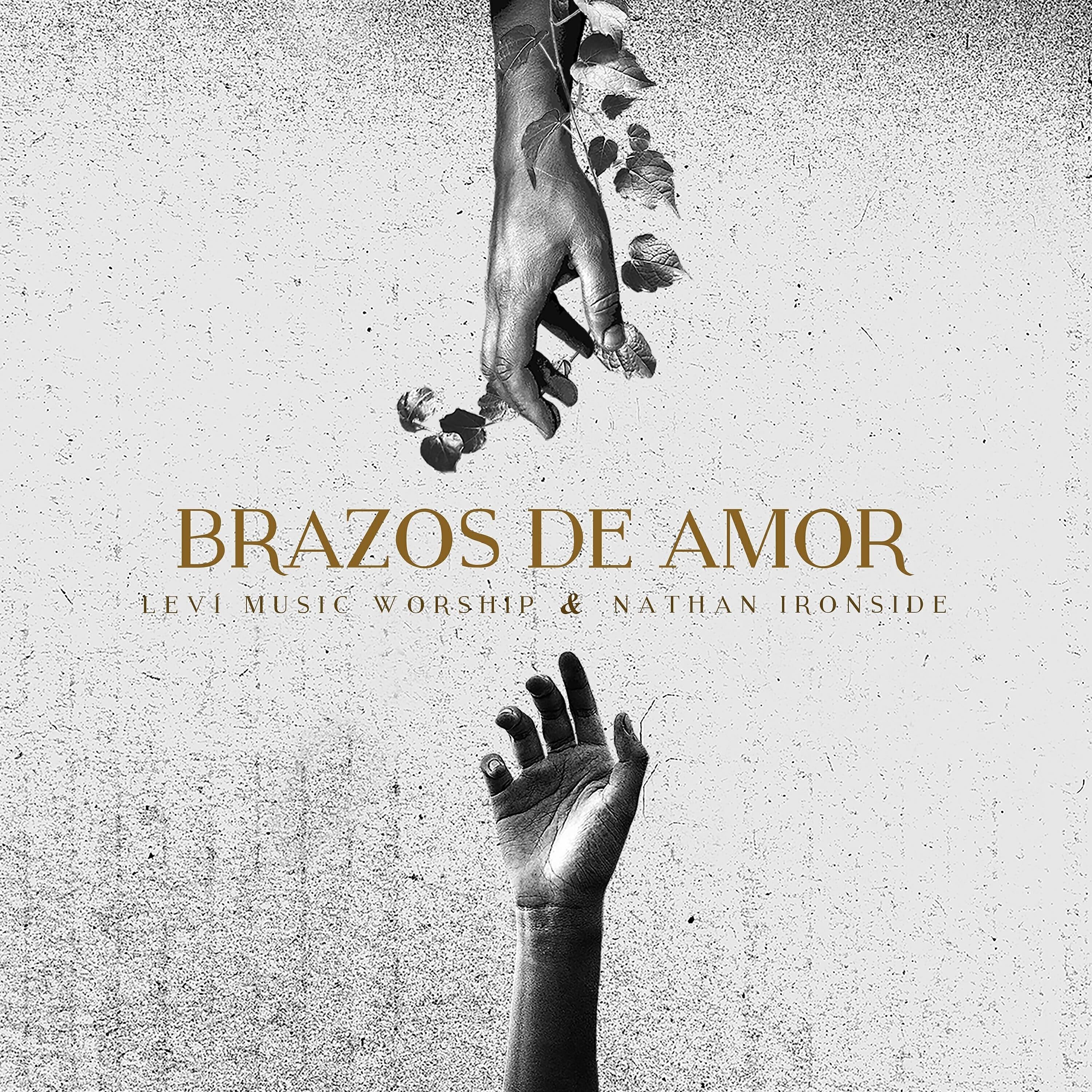 Релиз Brazos de Amor