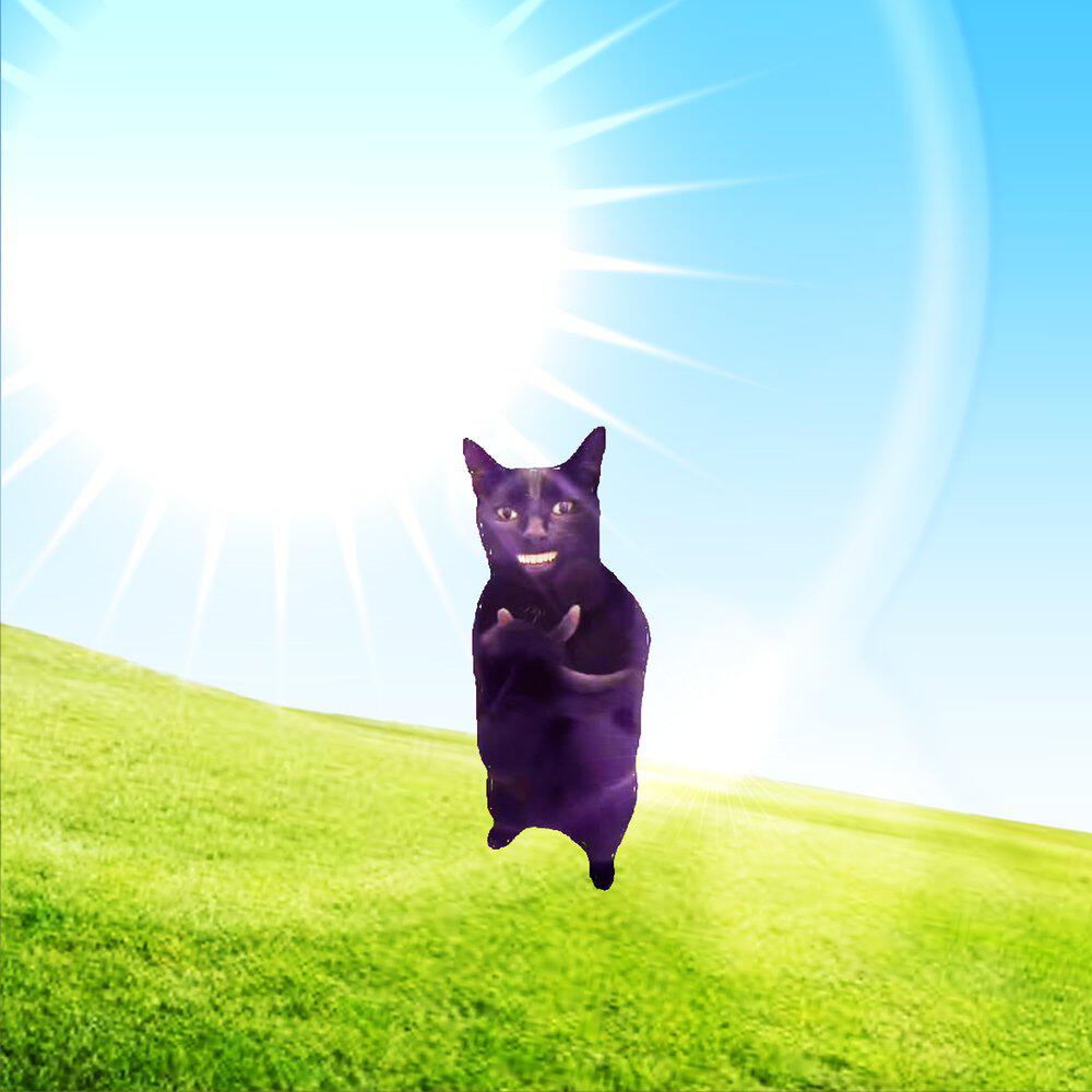 Релиз CAT FUNK