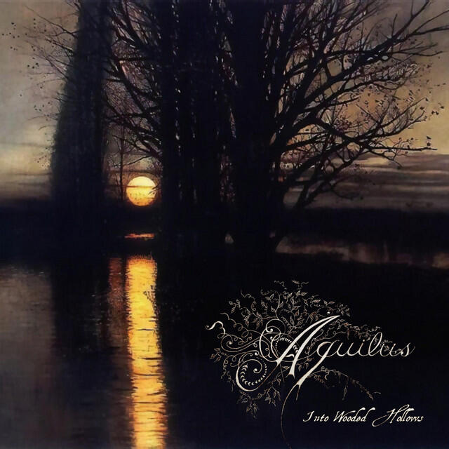 Постер альбома Into Wooded Hollows