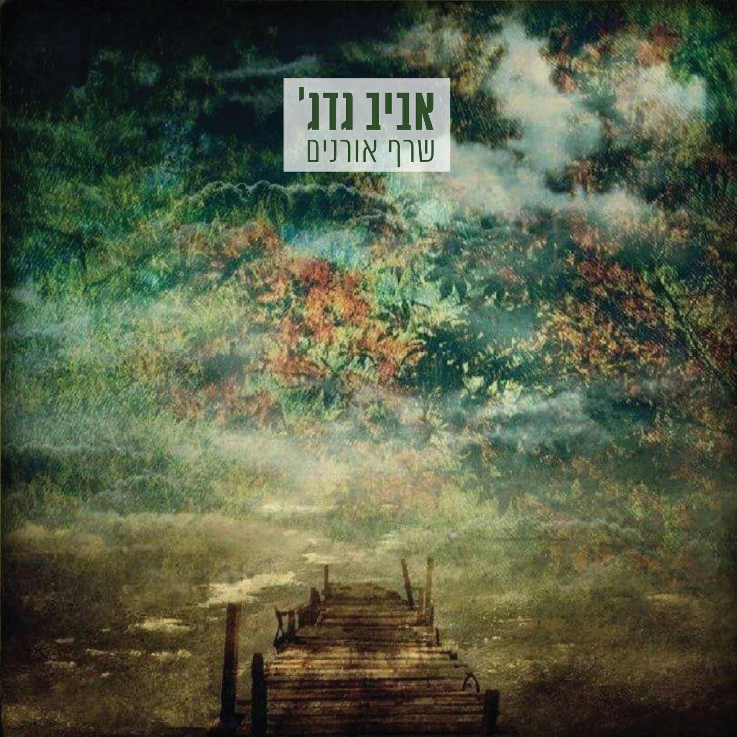אביב גדג׳