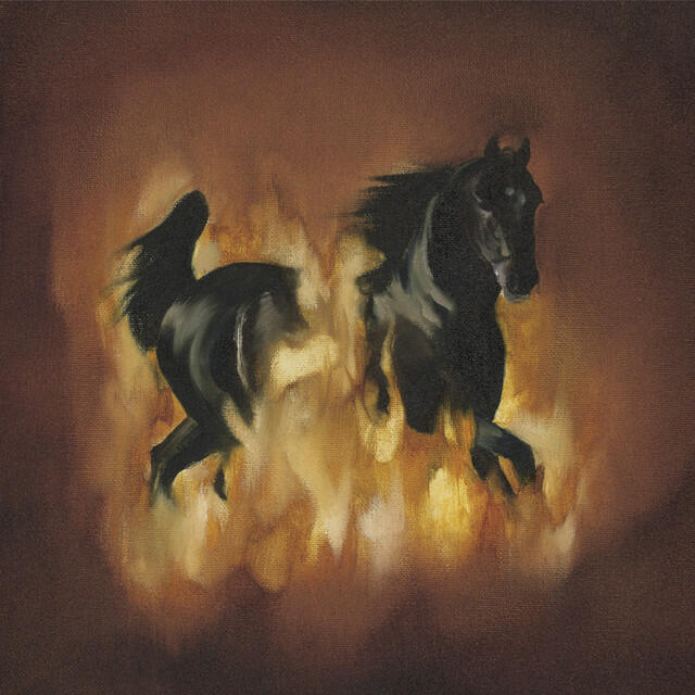 Релиз The Besnard Lakes Are The Dark Horse