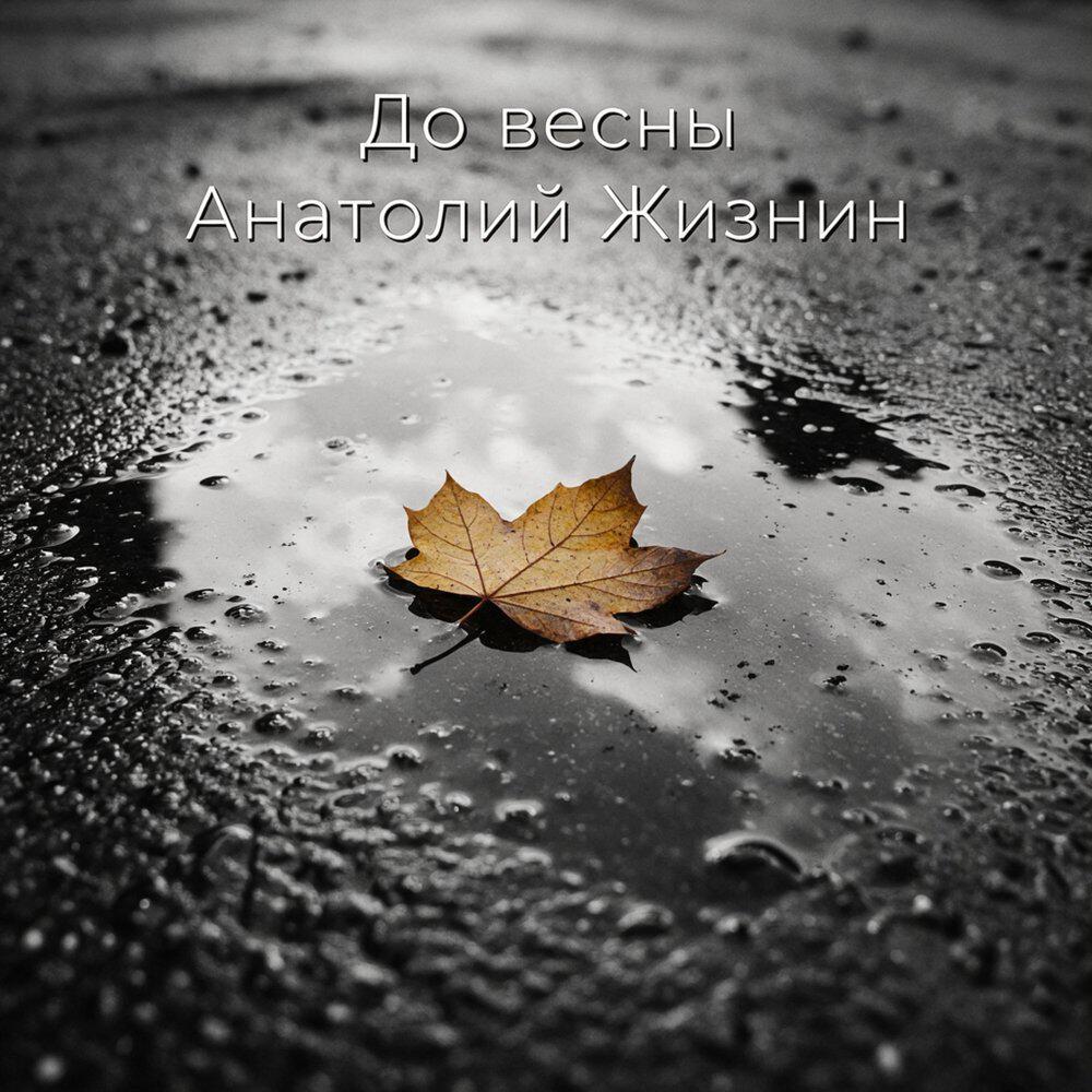 Релиз До весны