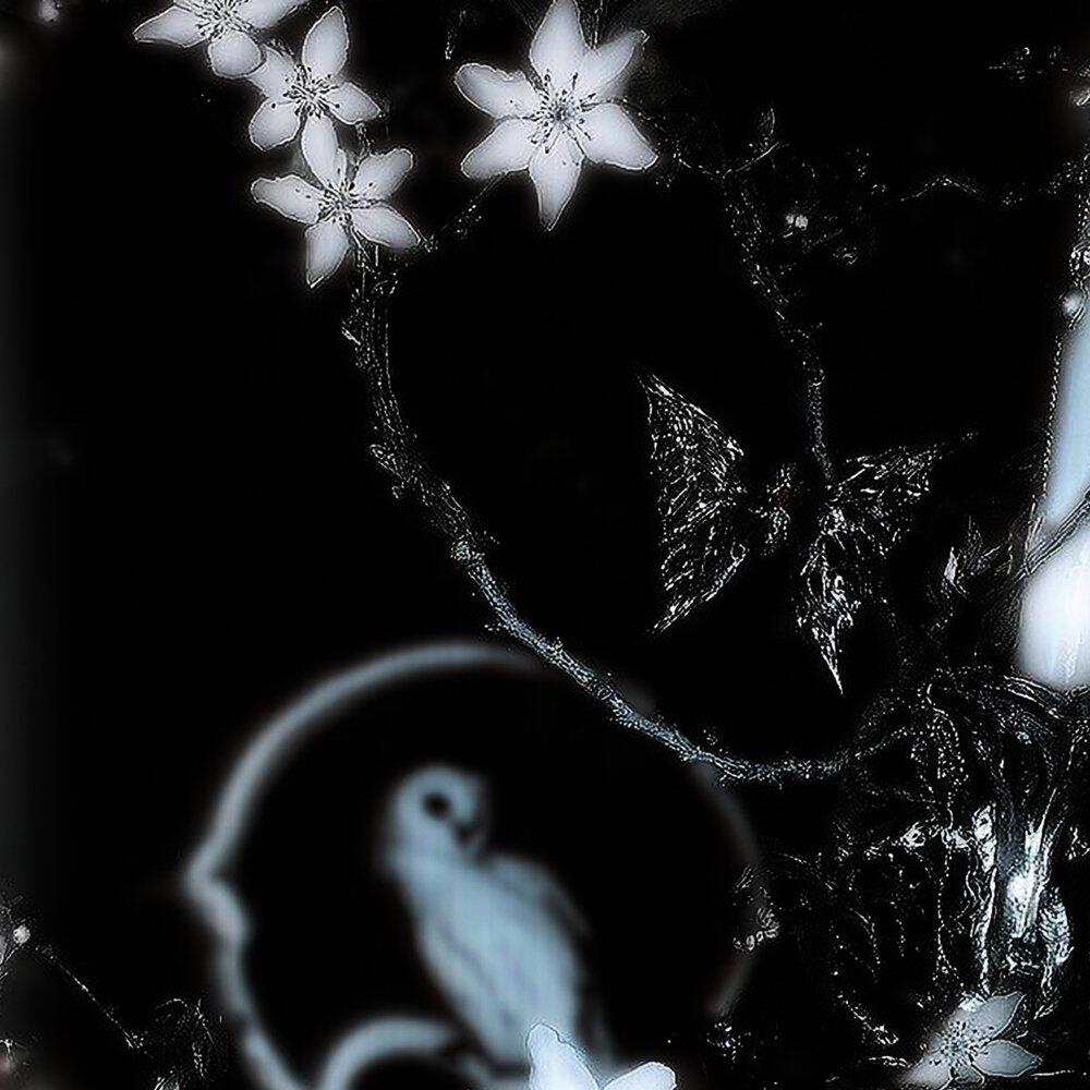 Ghost Angel