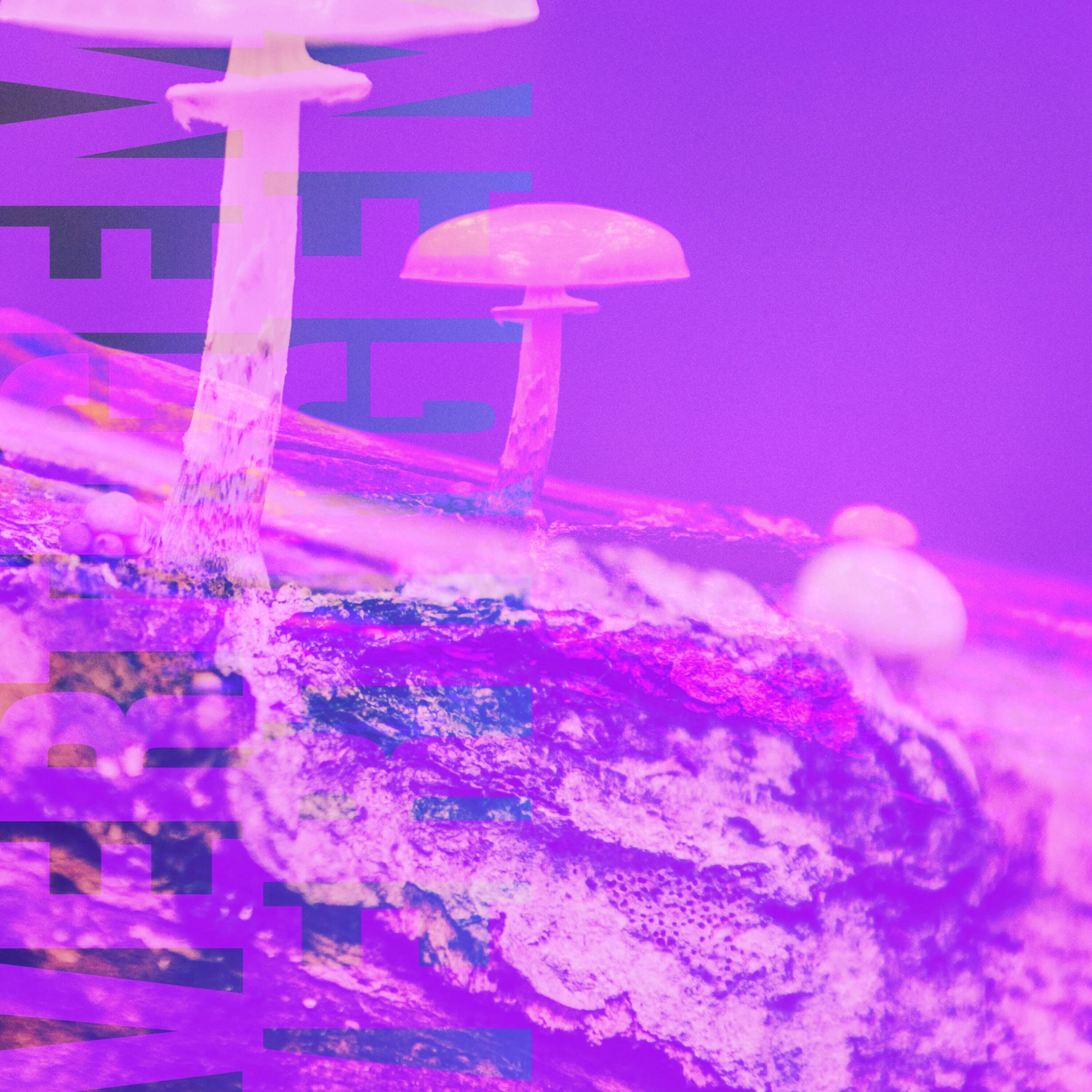 Релиз Vertigem