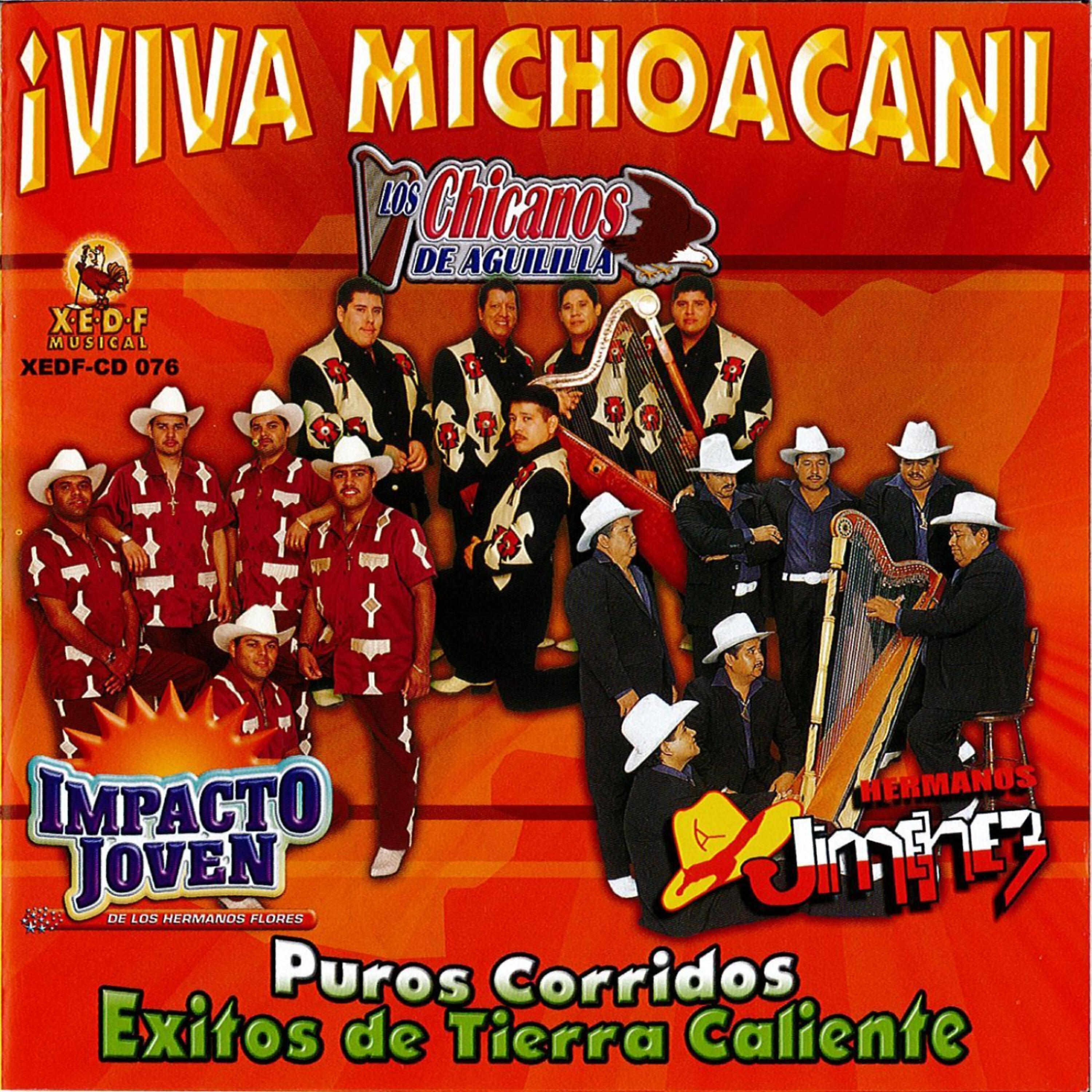Релиз Viva Michoacan