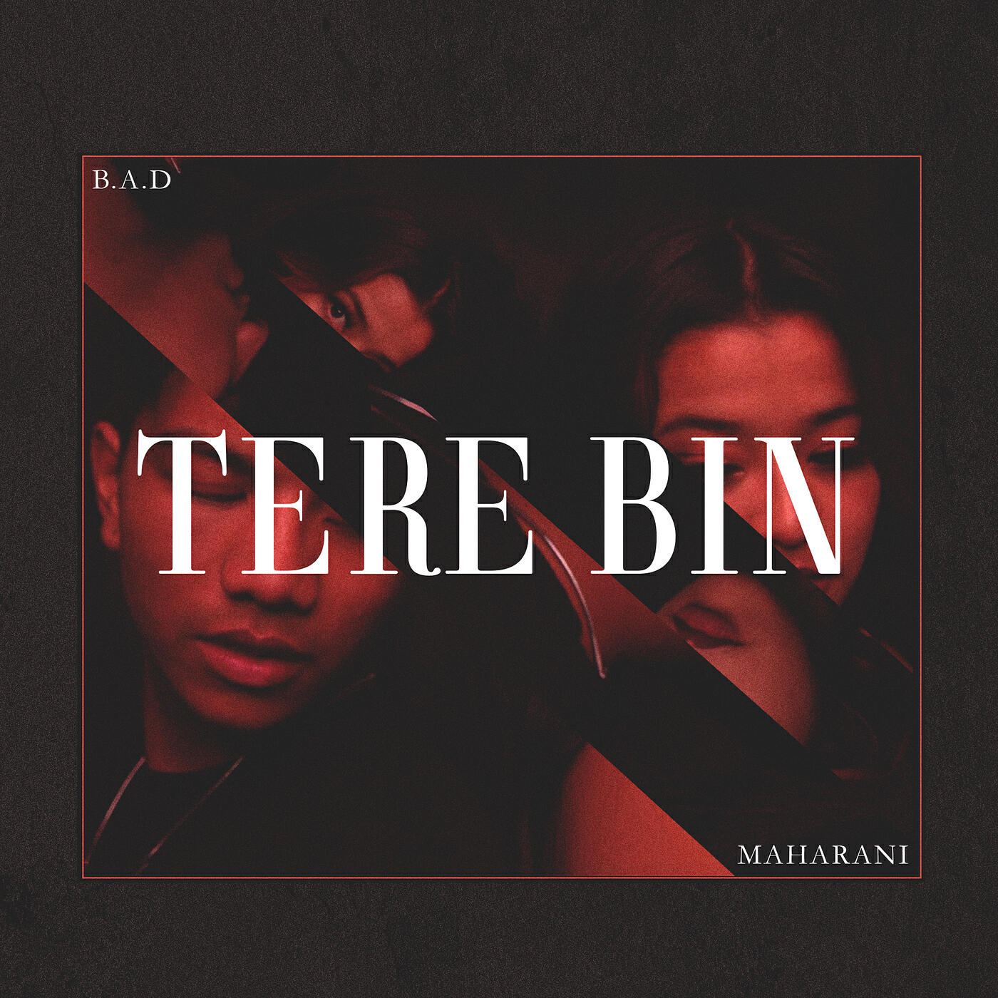 Релиз Tere Bin