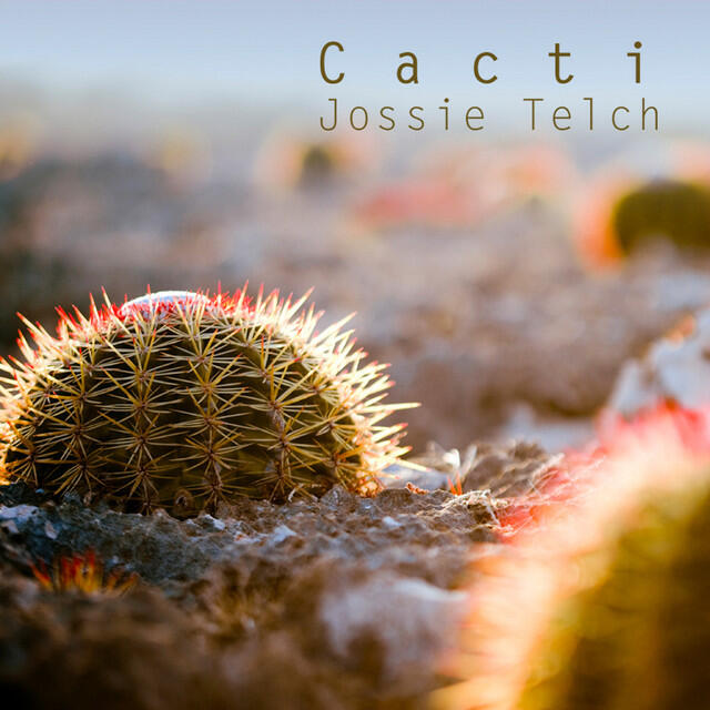 Релиз Cacti