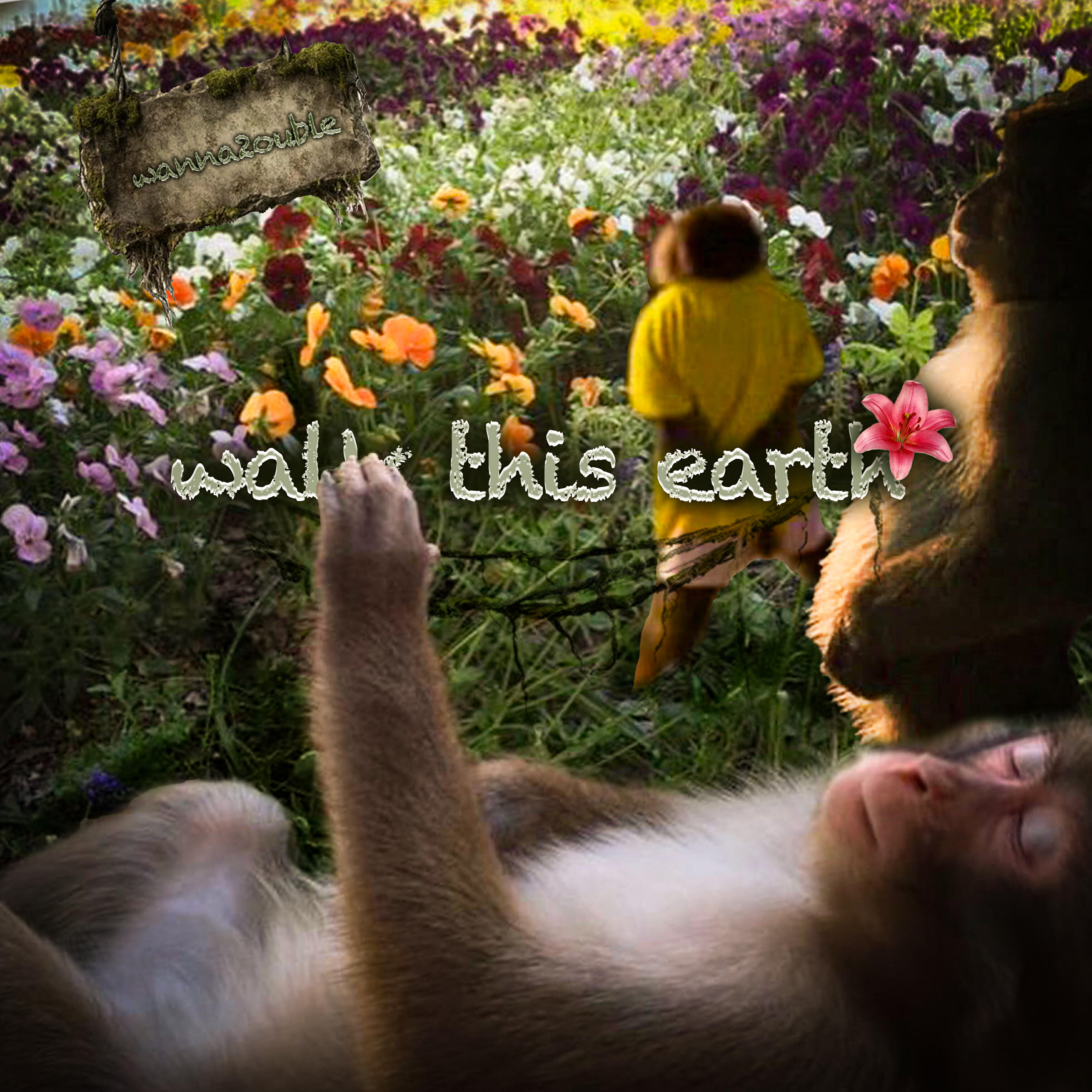 Постер альбома Walk This Earth