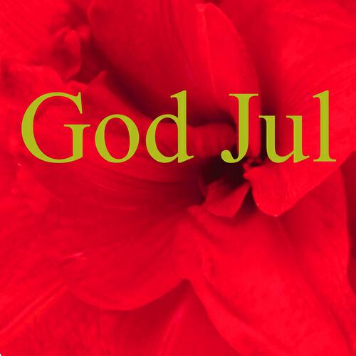 Julemanden DJ