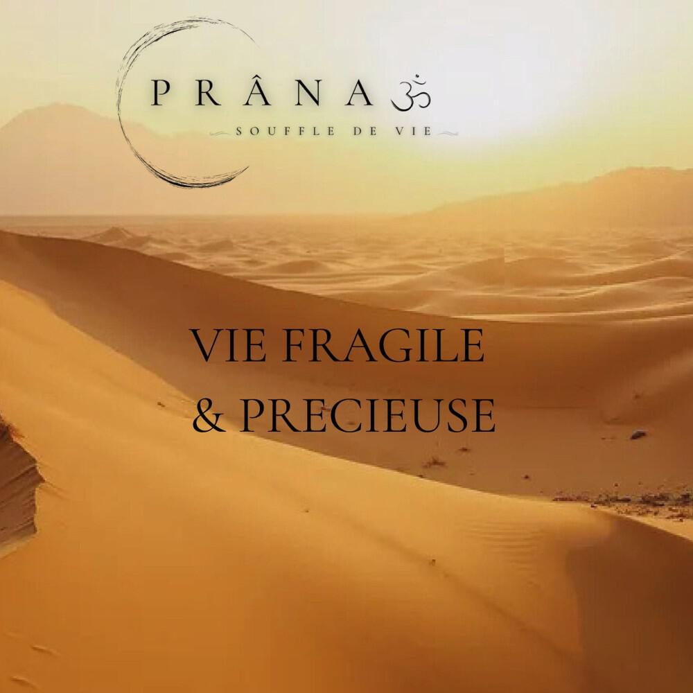 Релиз Vie fragile et précieuse