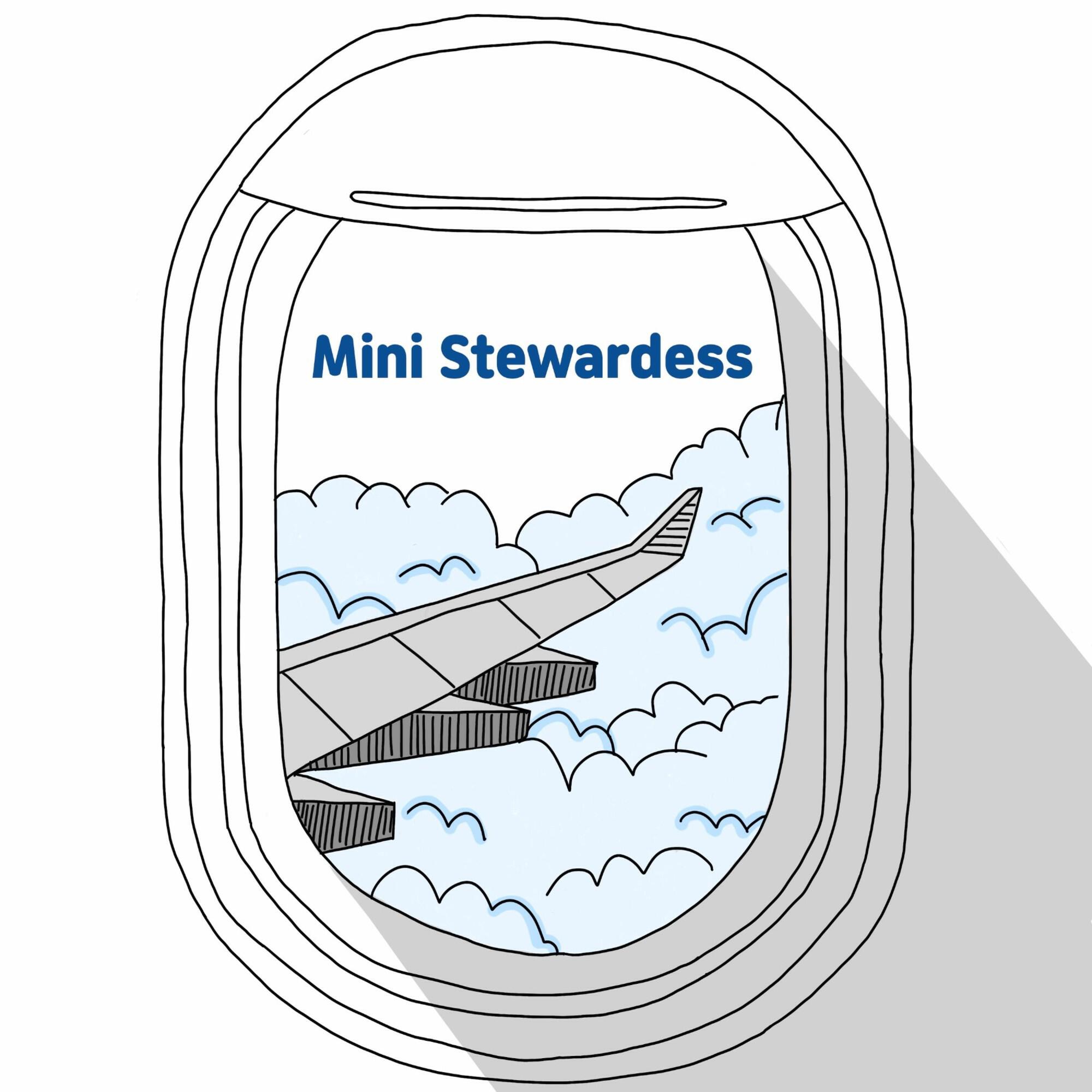 Релиз Mini Stewardess