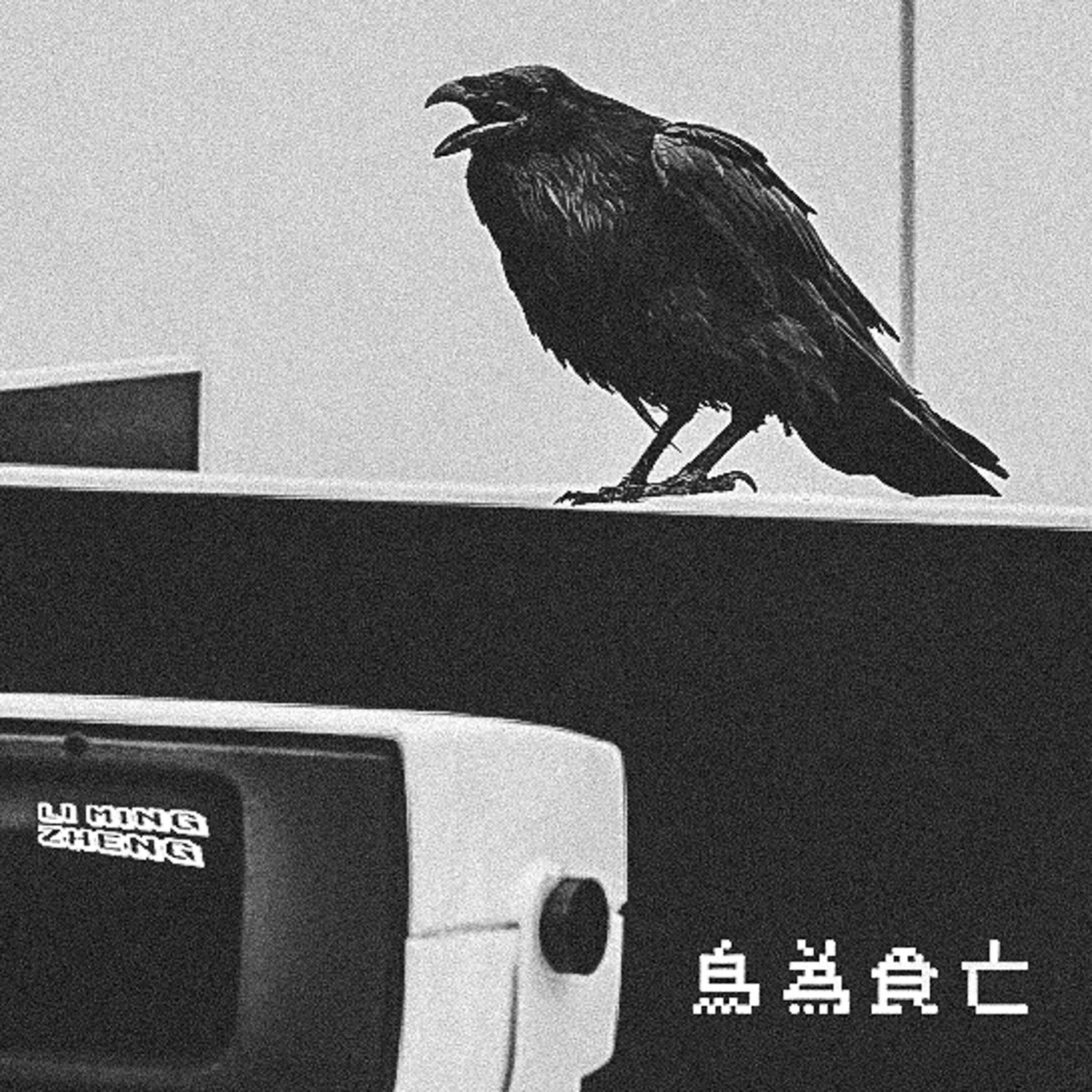 Релиз 鸟为食亡