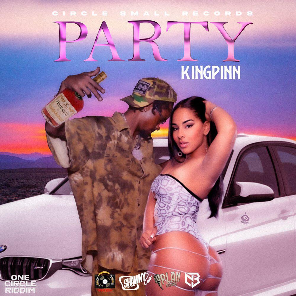 Релиз Party