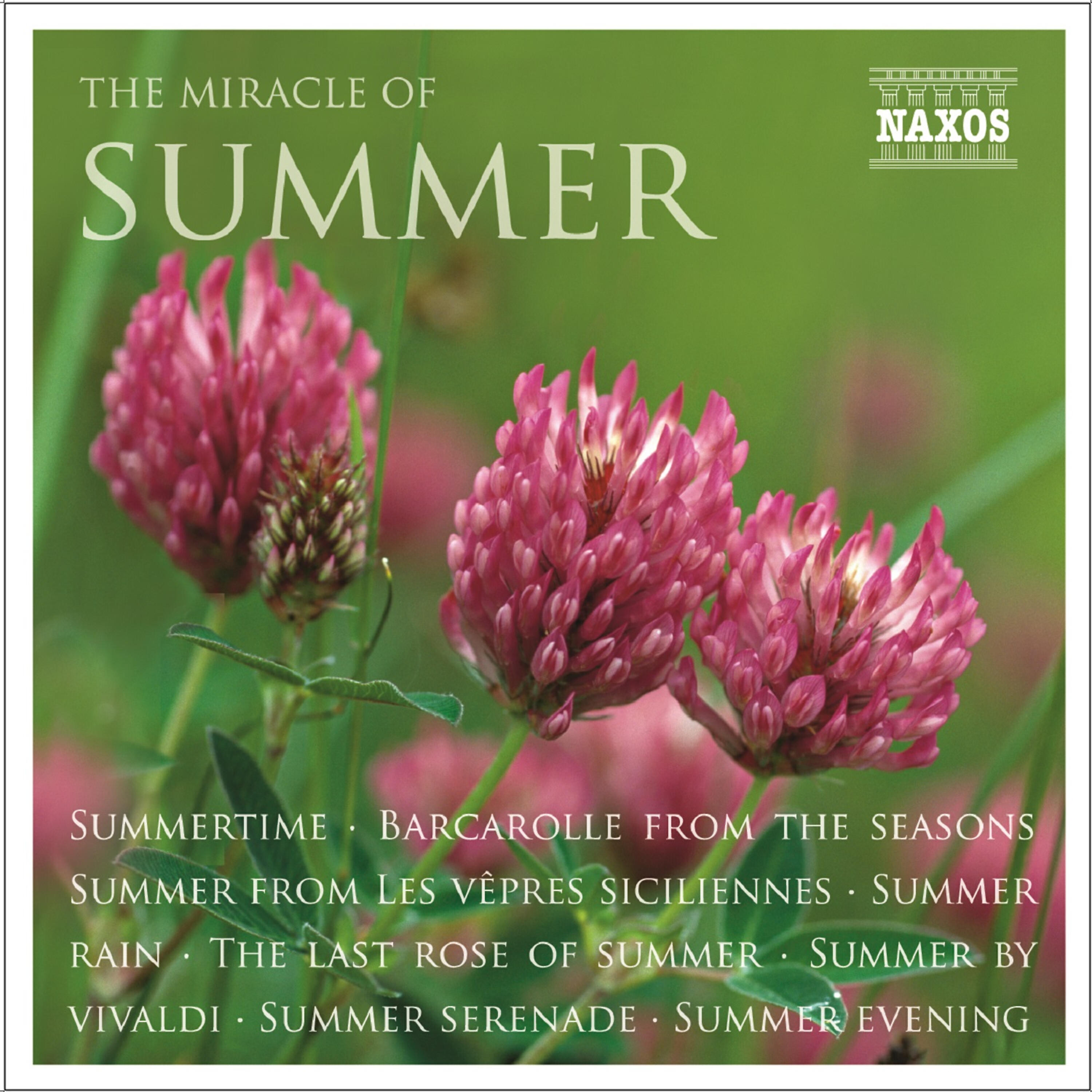 Релиз The Miracle of Summer