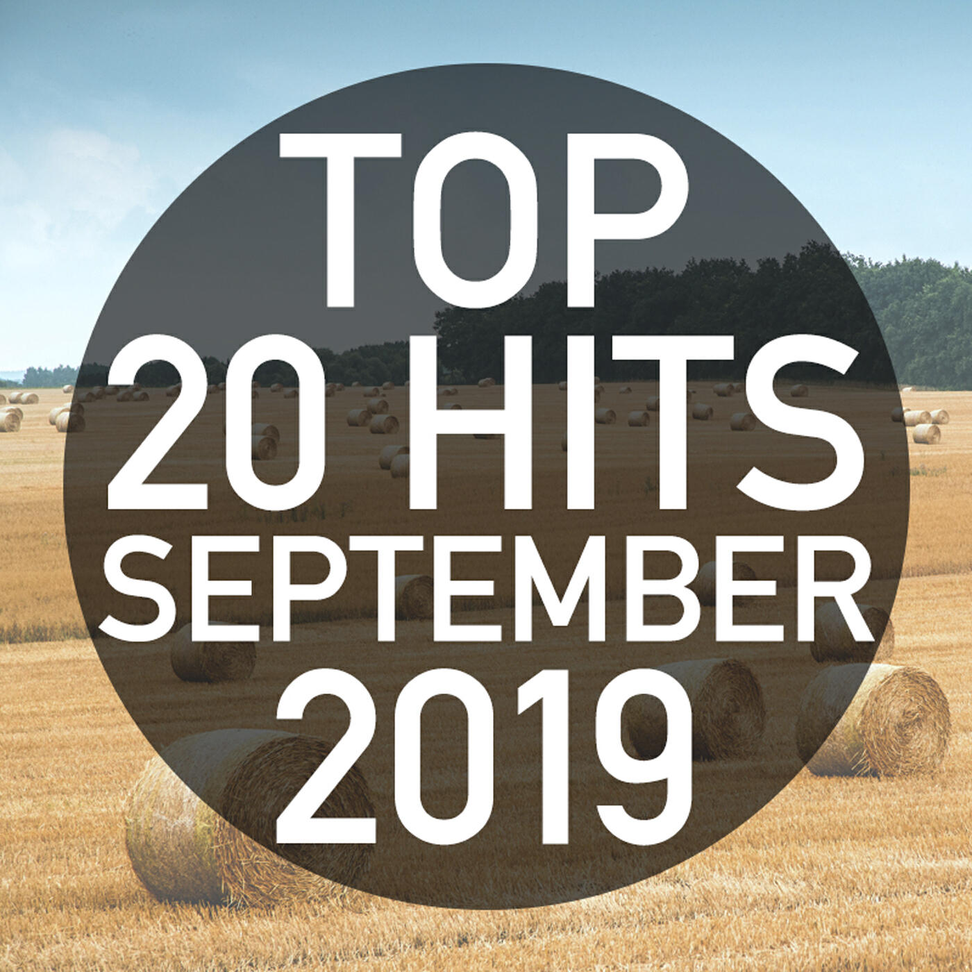 Релиз Top 20 Hits September 2019 (Instrumental)