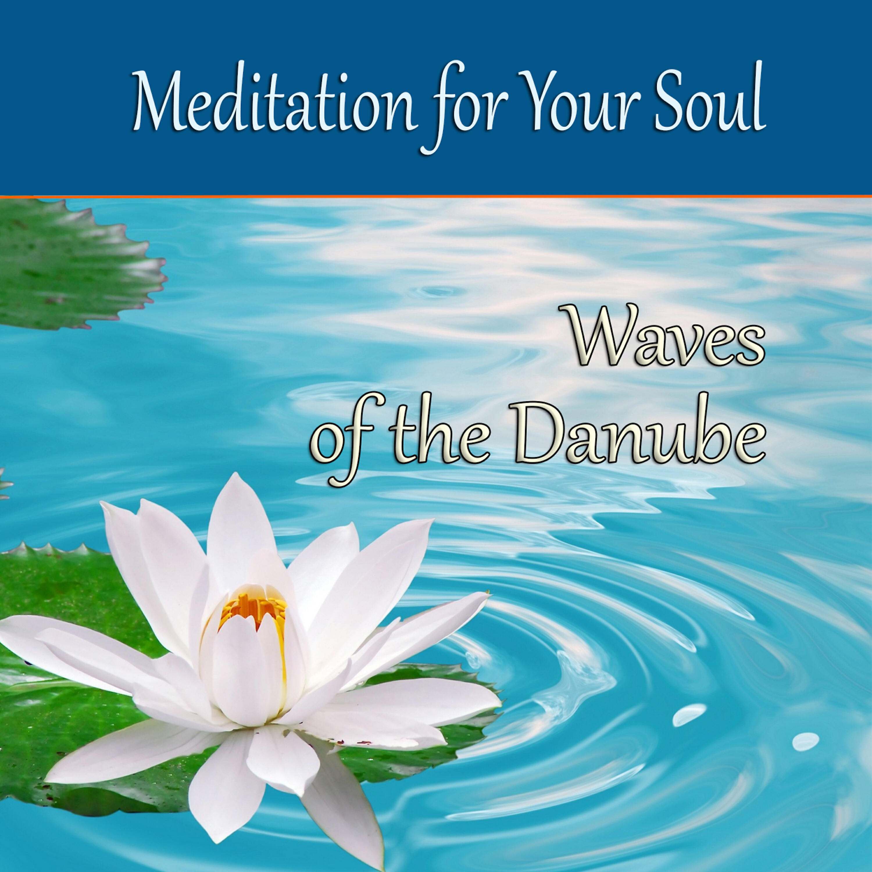 Релиз Meditation for Your Soul - Waves of the Danube