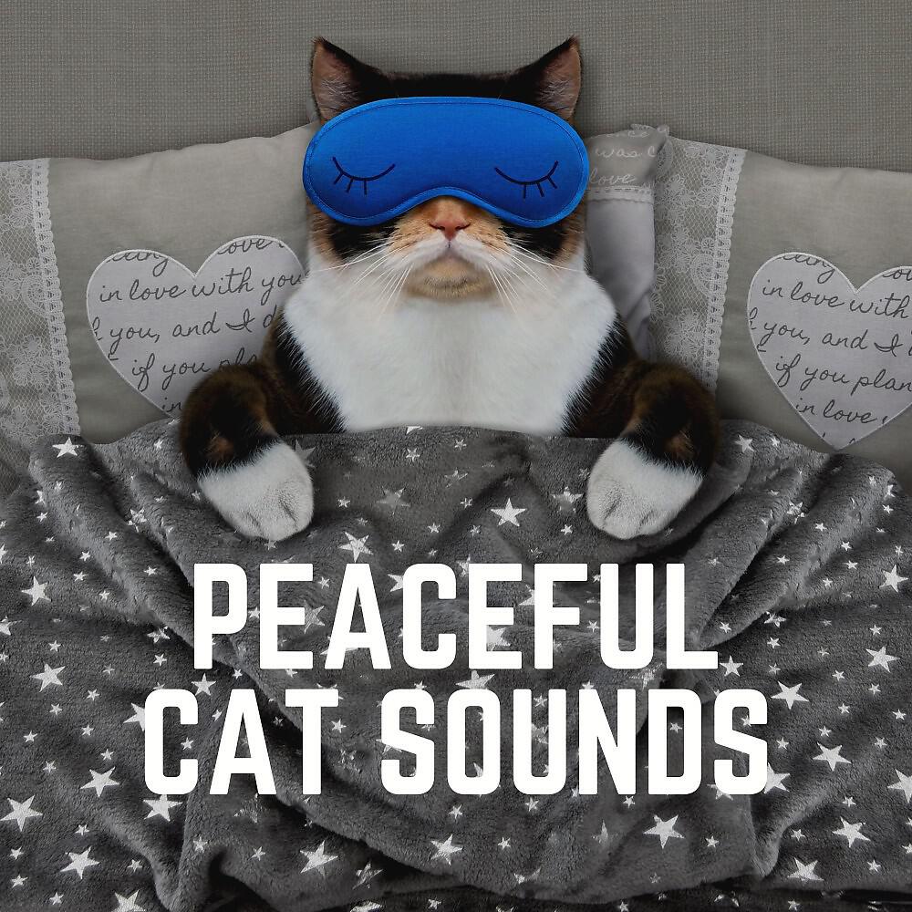 Релиз Peaceful Cat Sounds