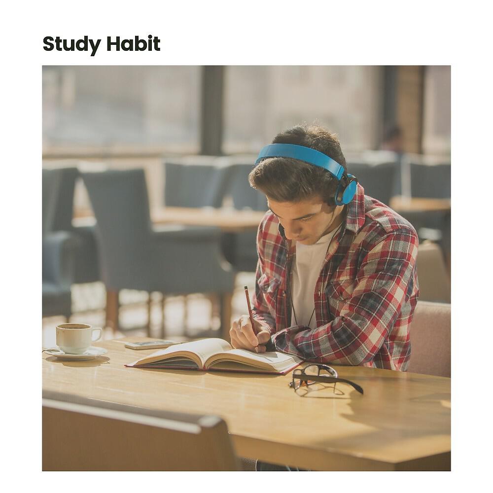 Релиз Study Habit