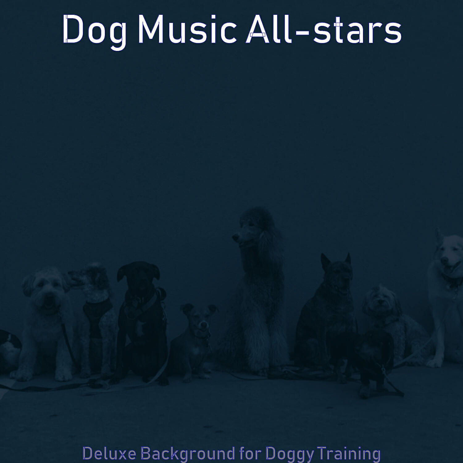 Релиз Deluxe Background for Doggy Training