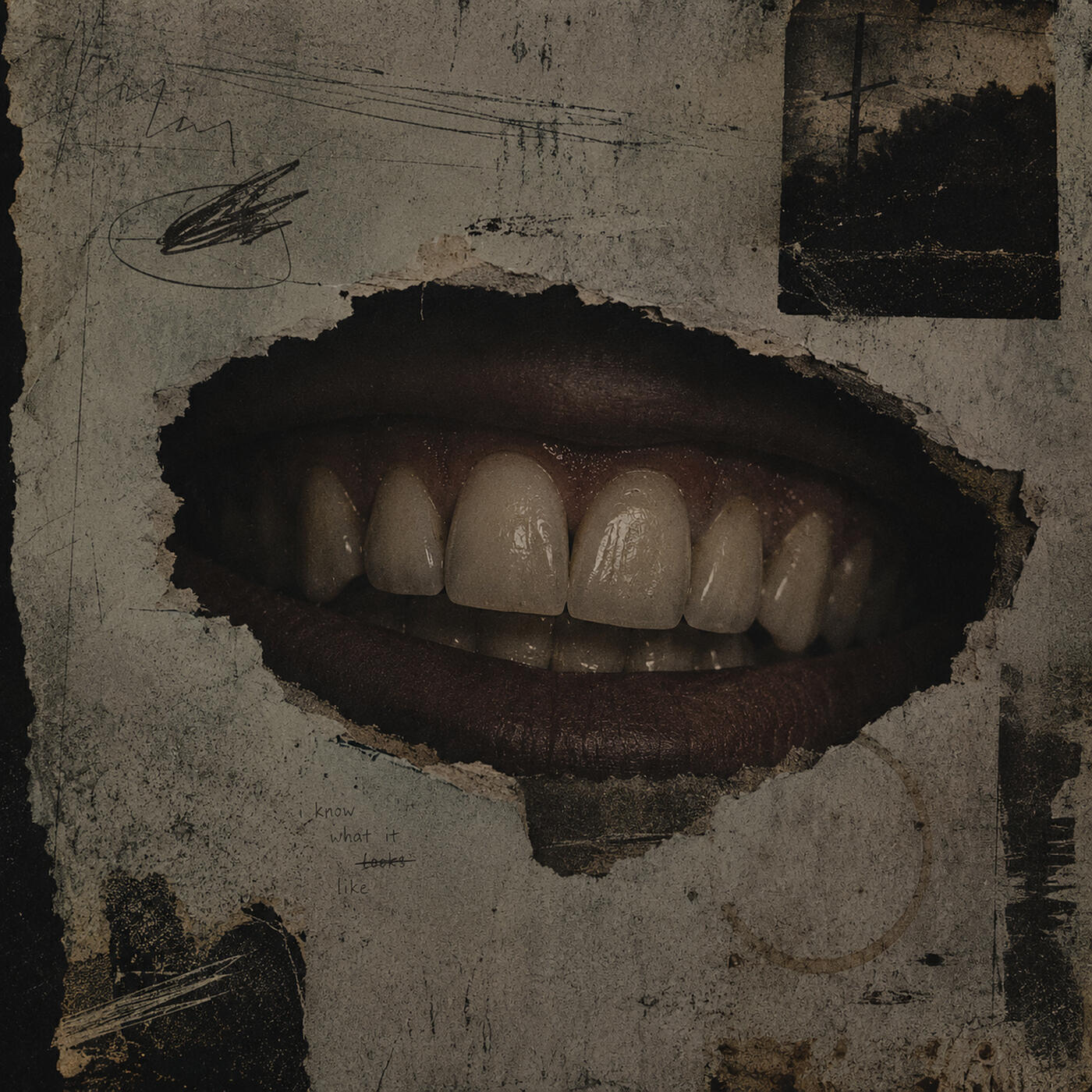 Релиз Veneer