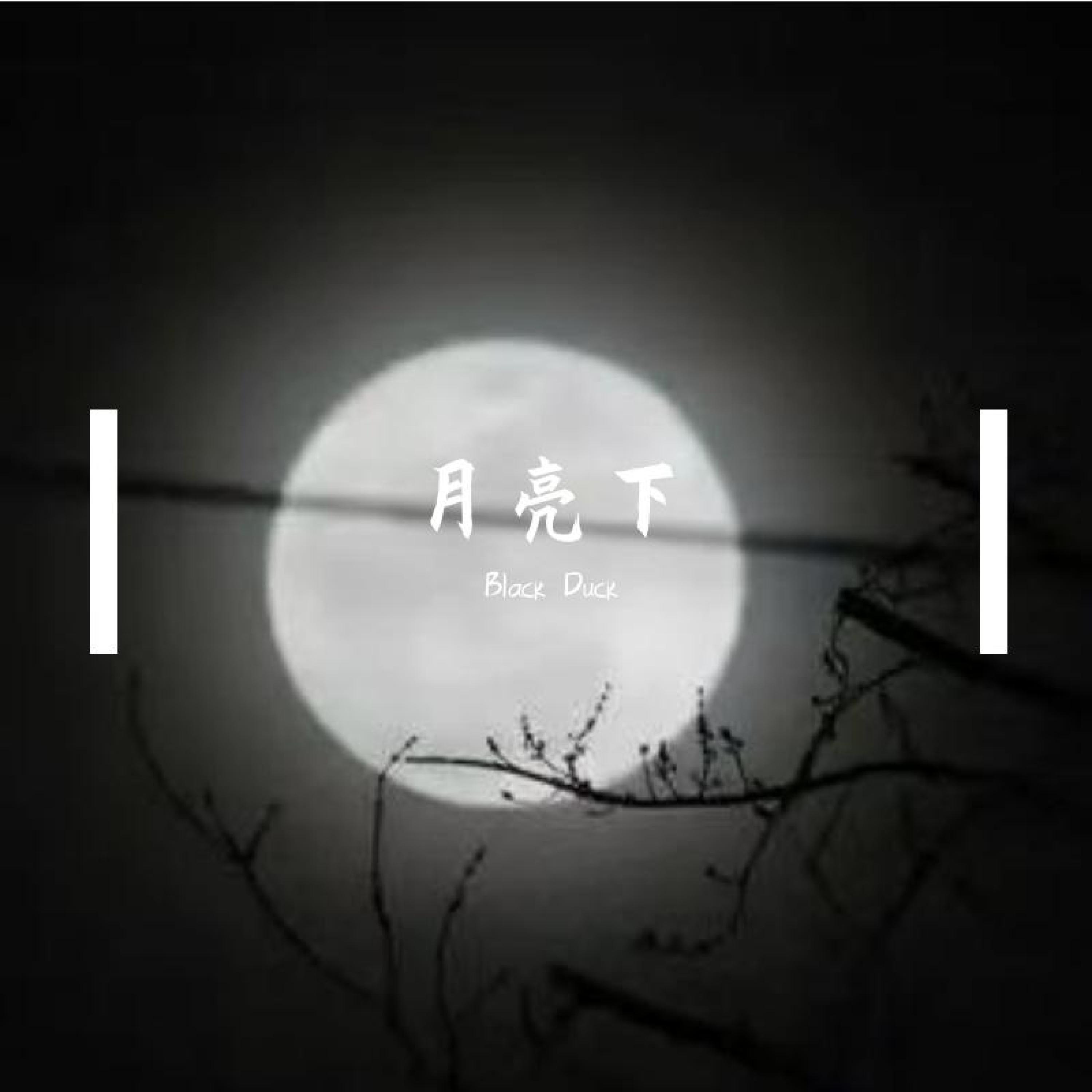 Релиз 月亮下