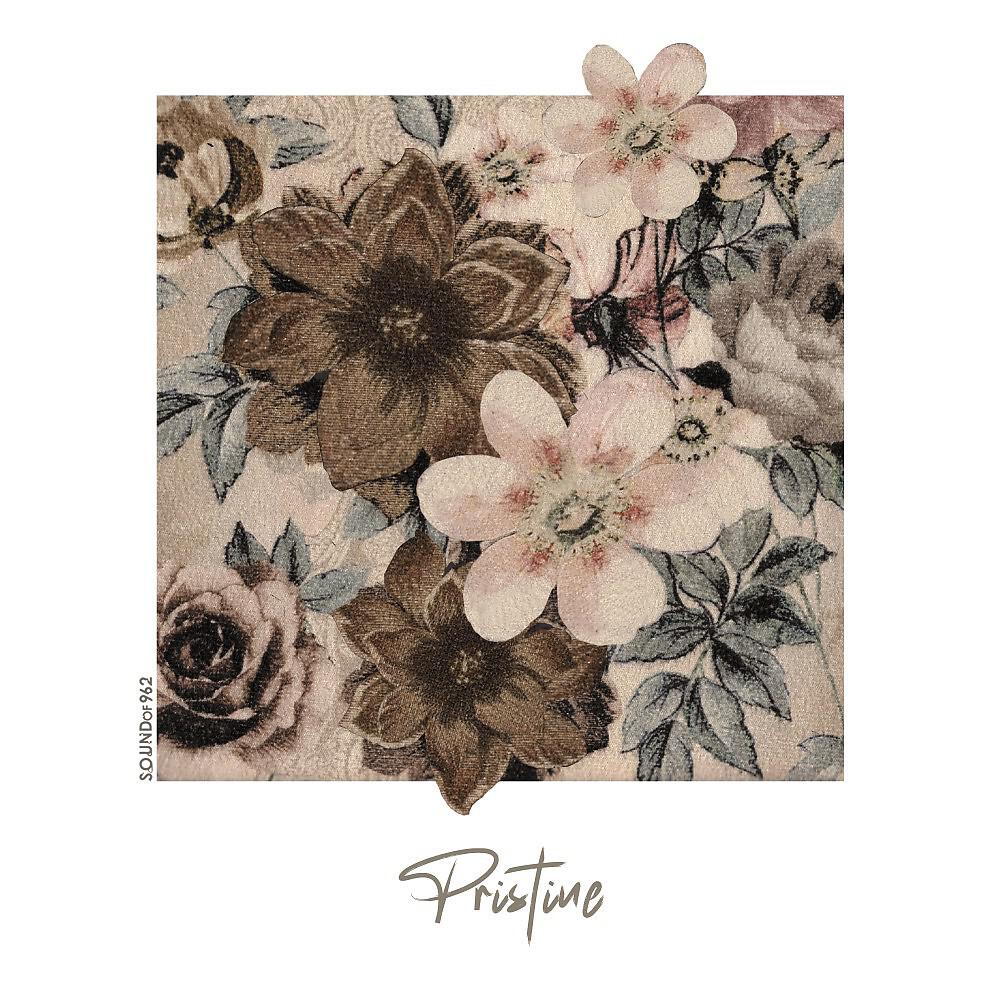 Релиз Pristine