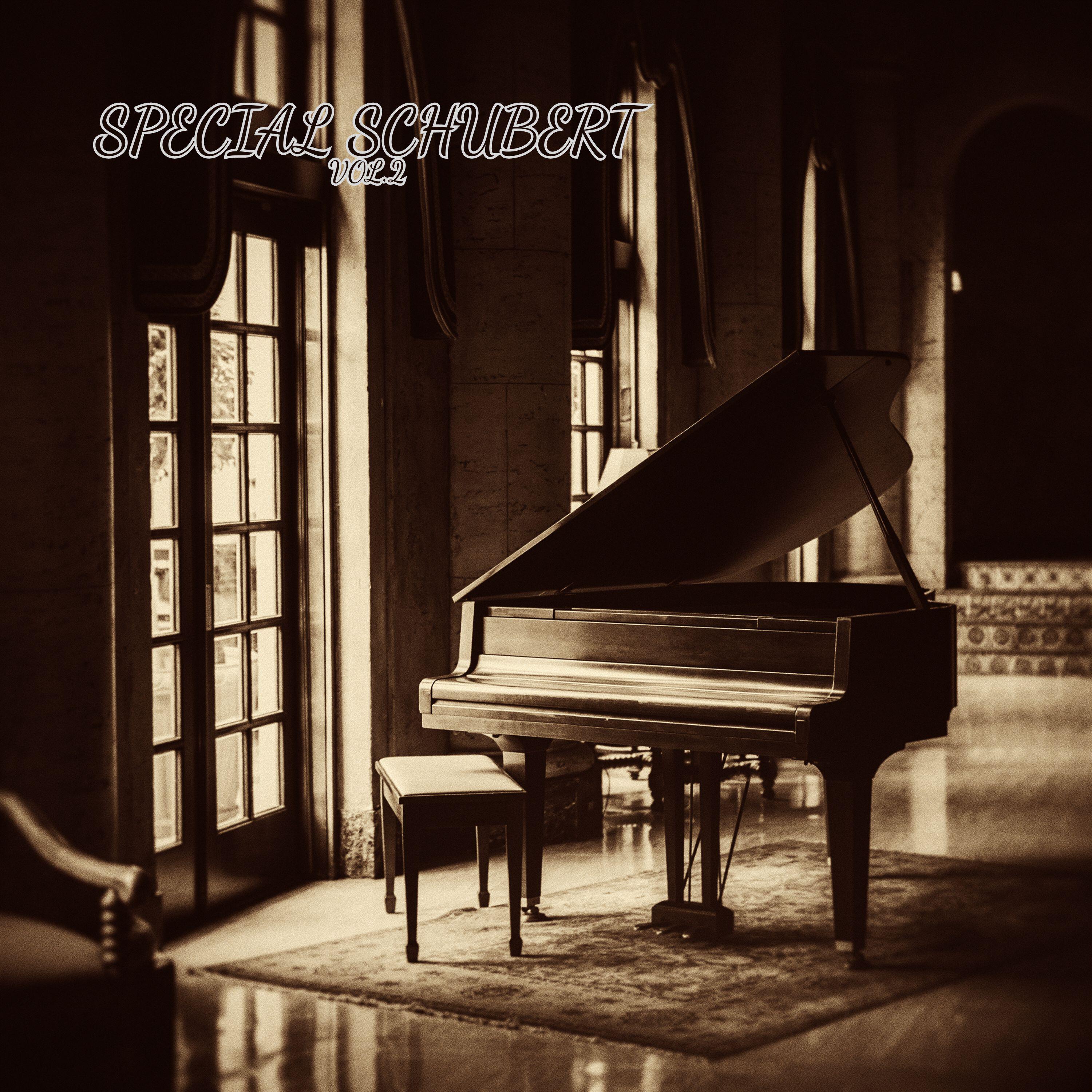 Релиз Special Schubert vol.2