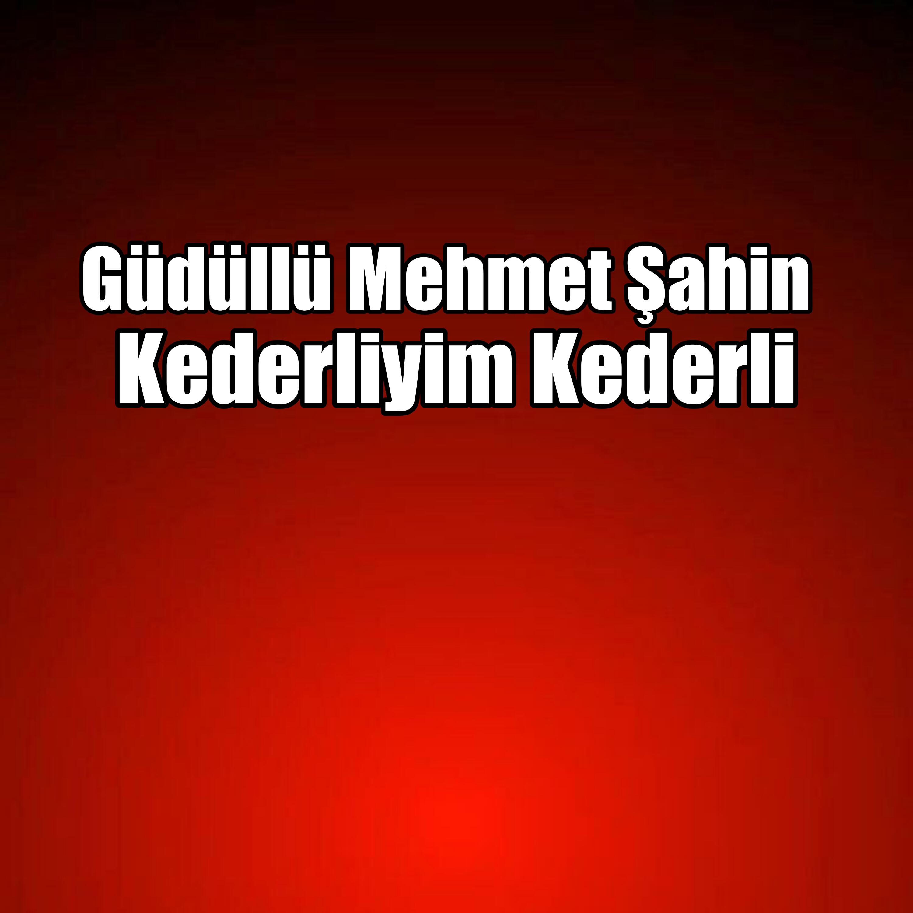 Güdüllü Mehmet Şahin
