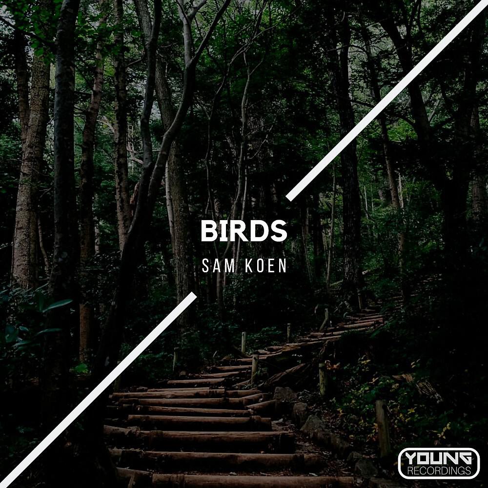 Релиз Birds