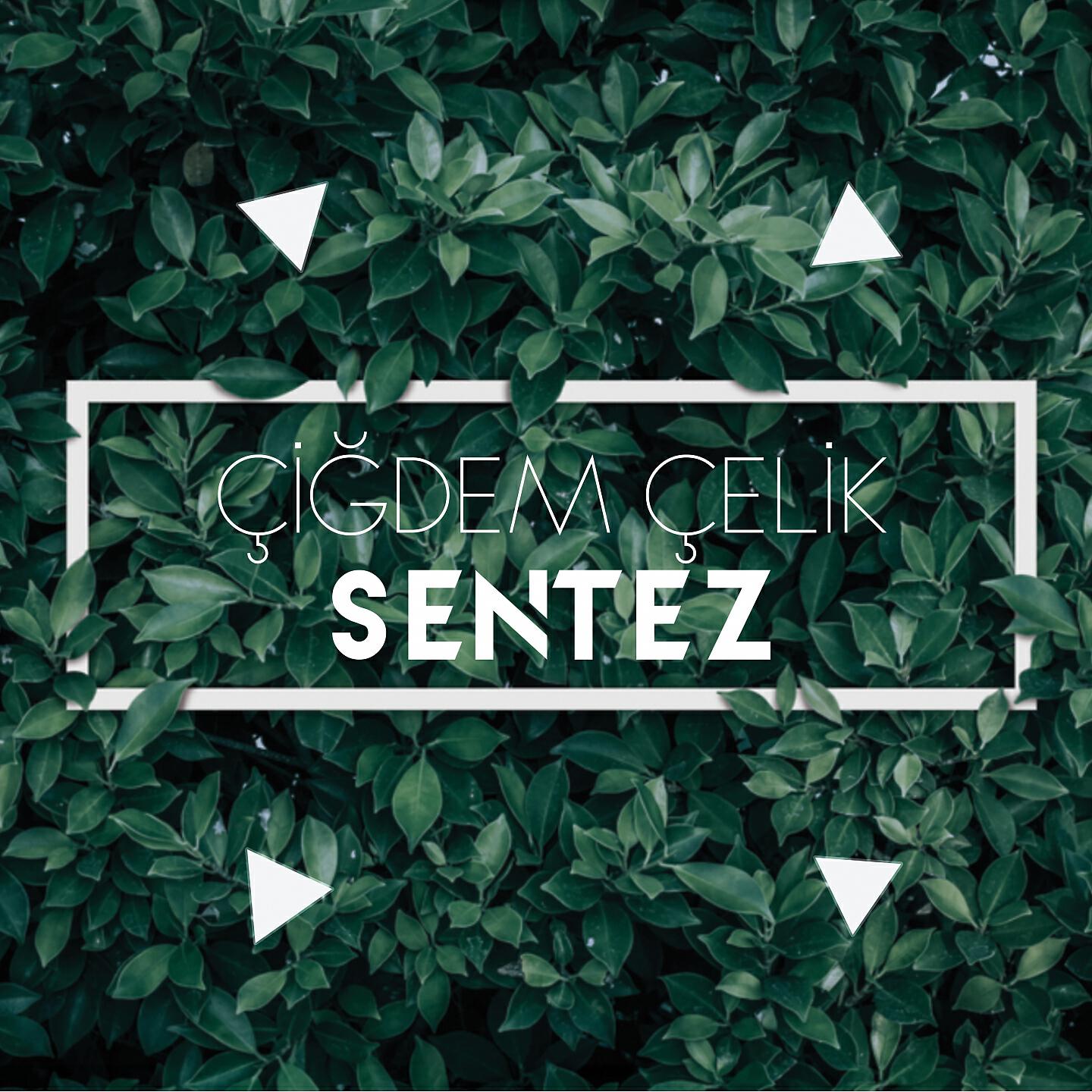 Релиз Sentez