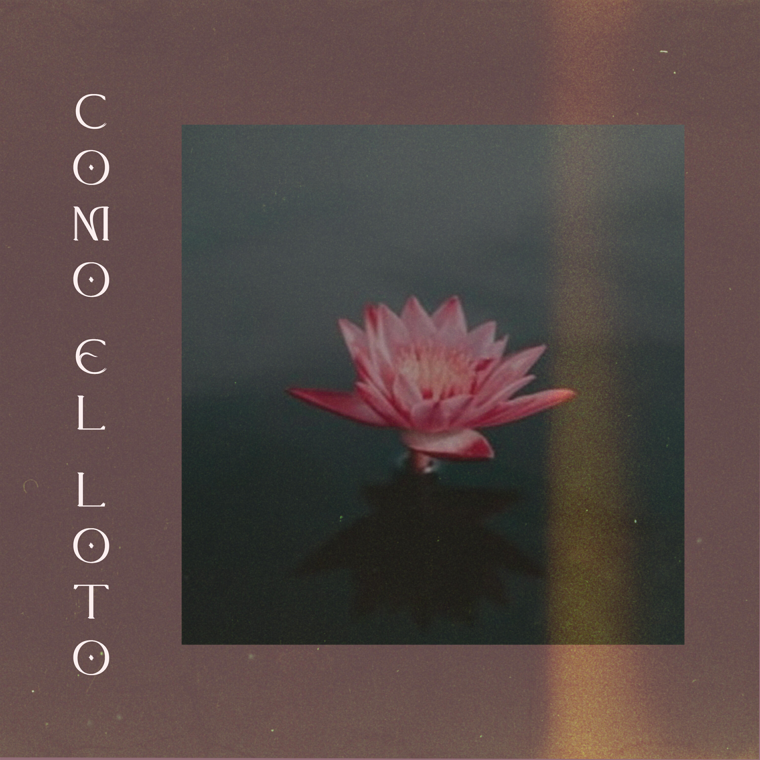 Релиз Como el Loto
