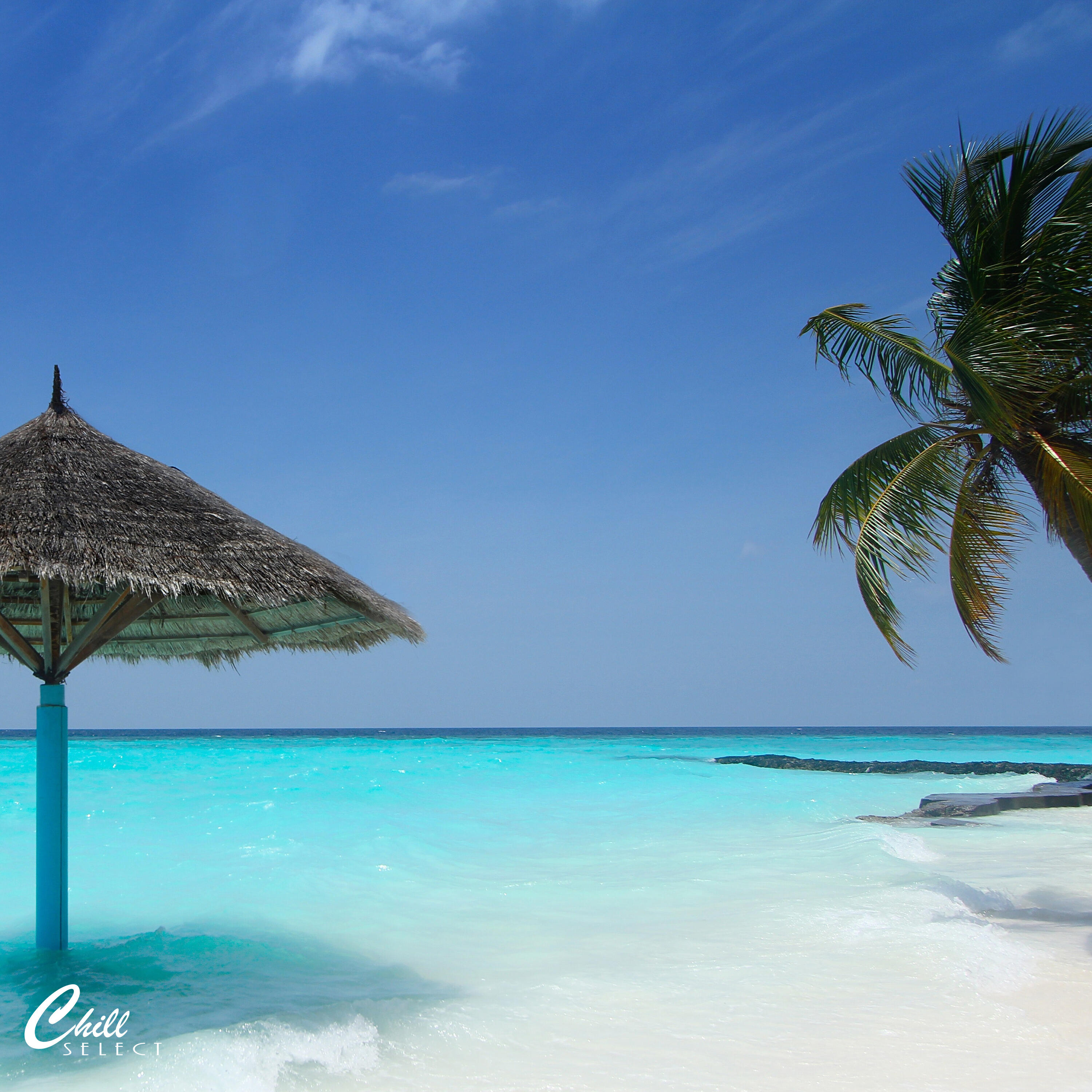 Релиз Gulf Coastline