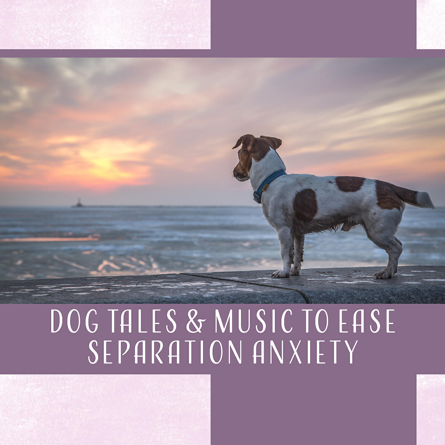 Релиз Dog Tales & Music to Ease Separation Anxiety: Antistress Therapy, Audio Treatment for Animals, Positive Stimulation, Pet Care