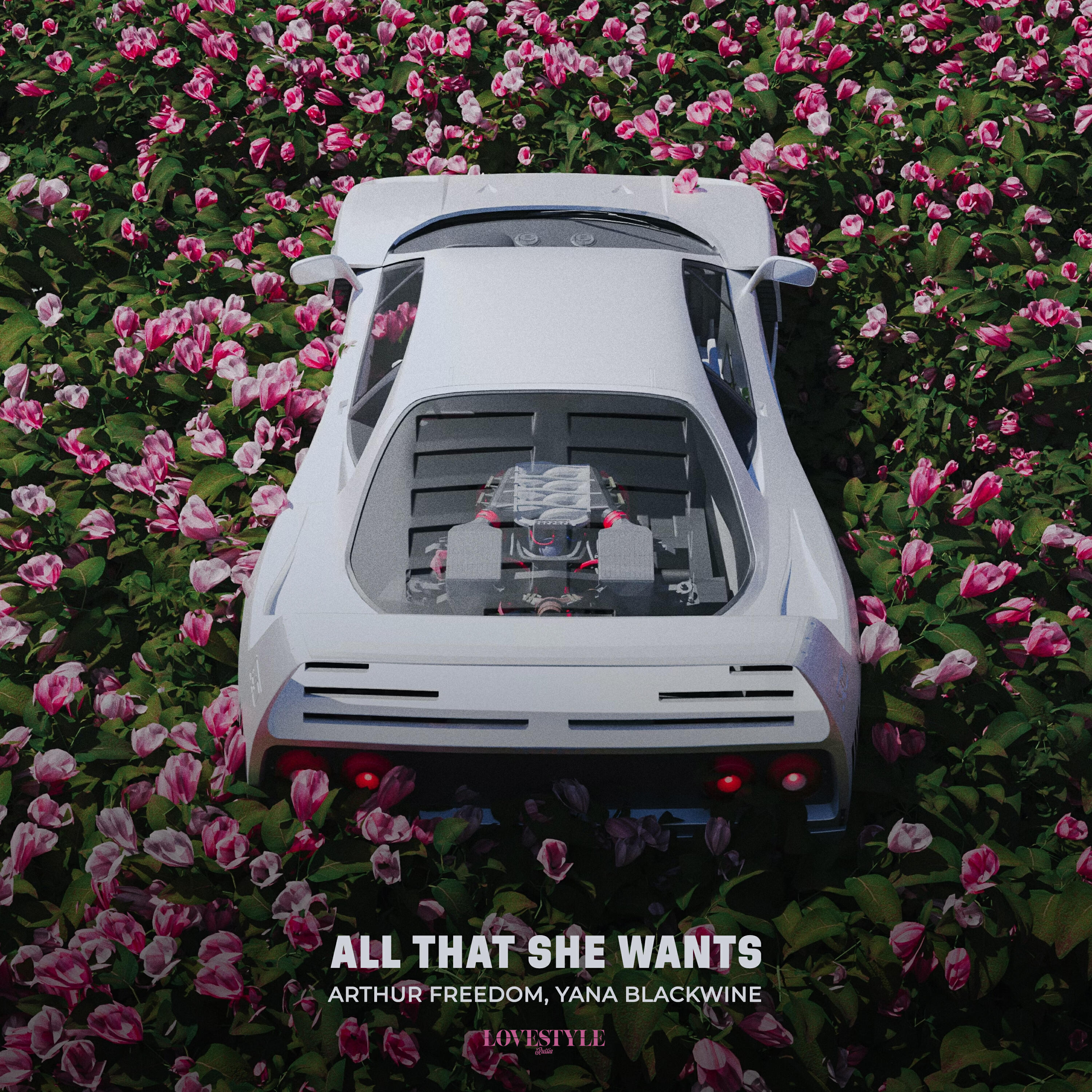 Релиз All That She Wants