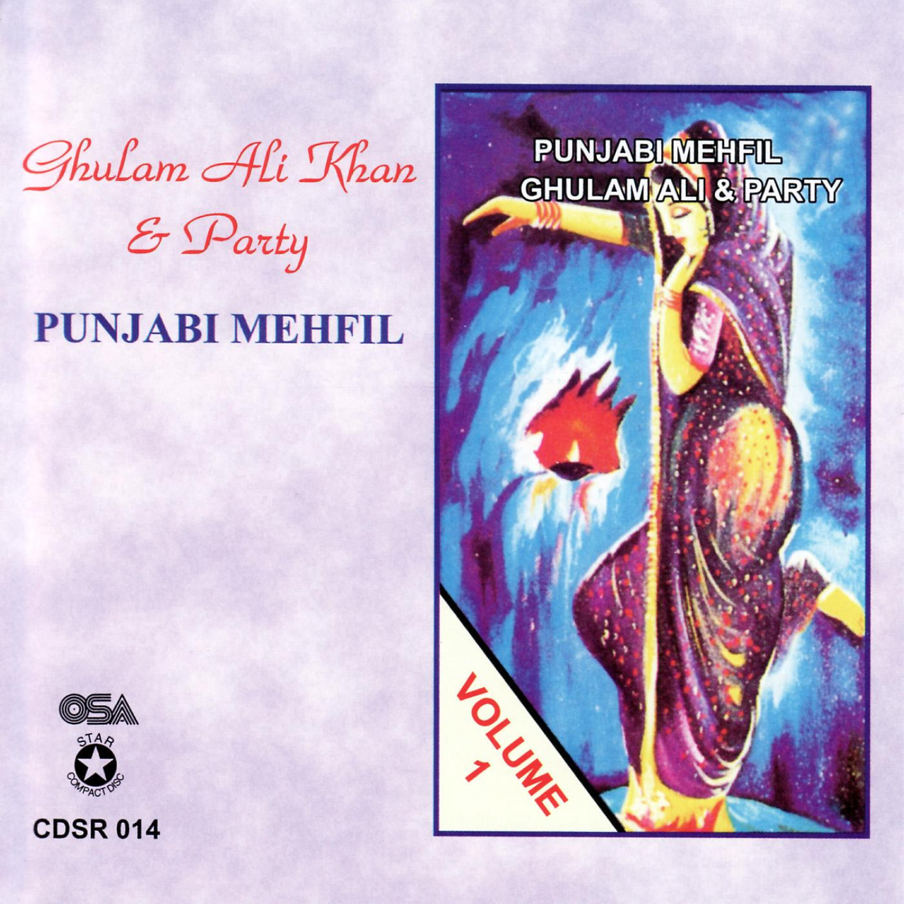 Релиз Punjabi Mehfil Volume 1