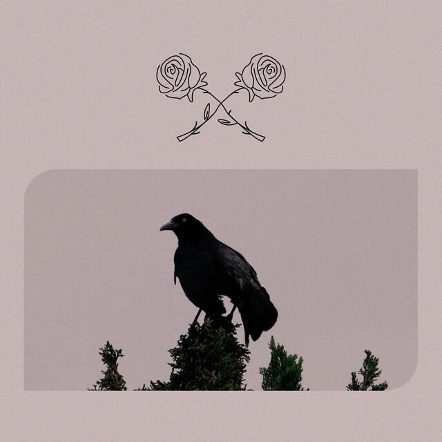 Релиз Гавранот I / The Raven I