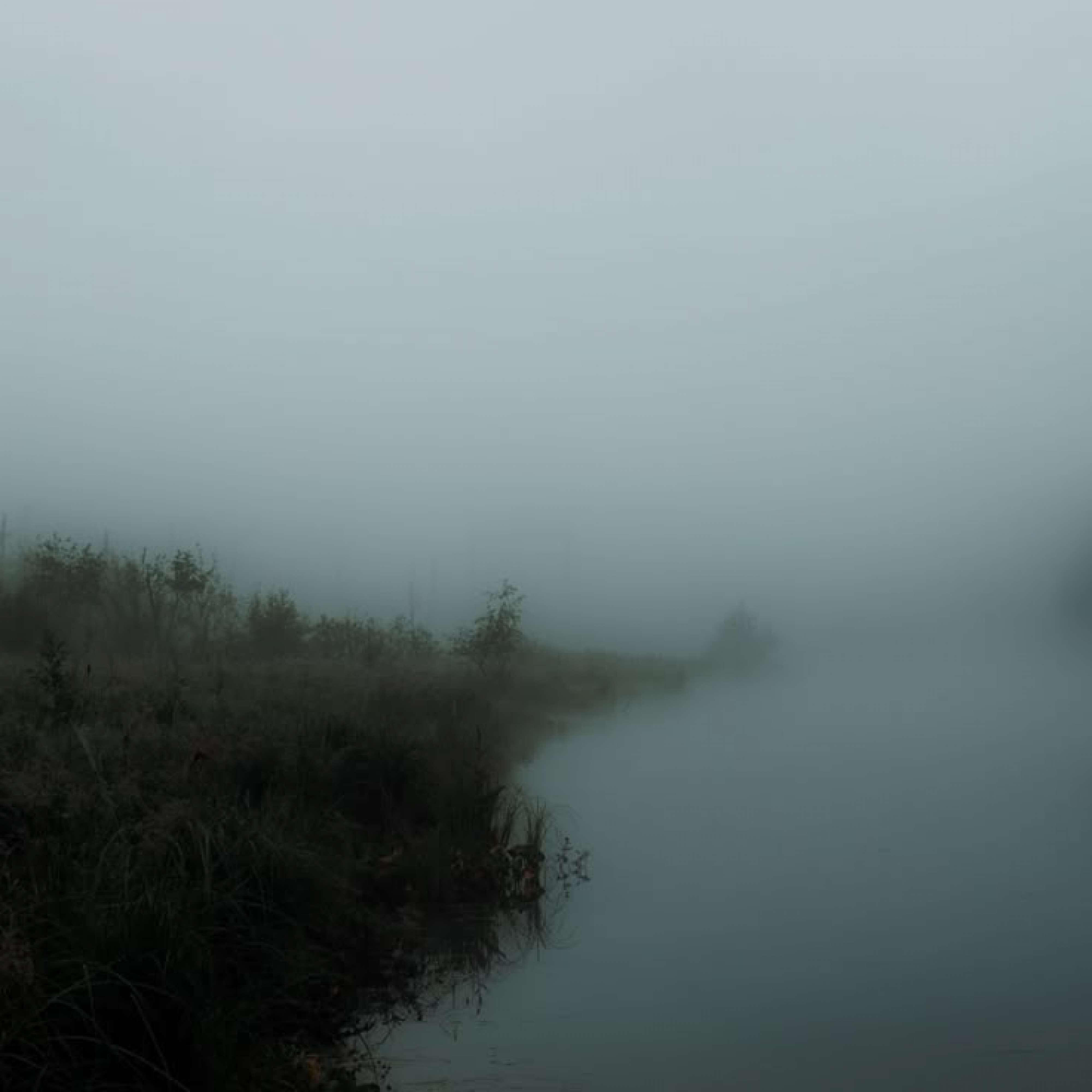 Релиз vastness